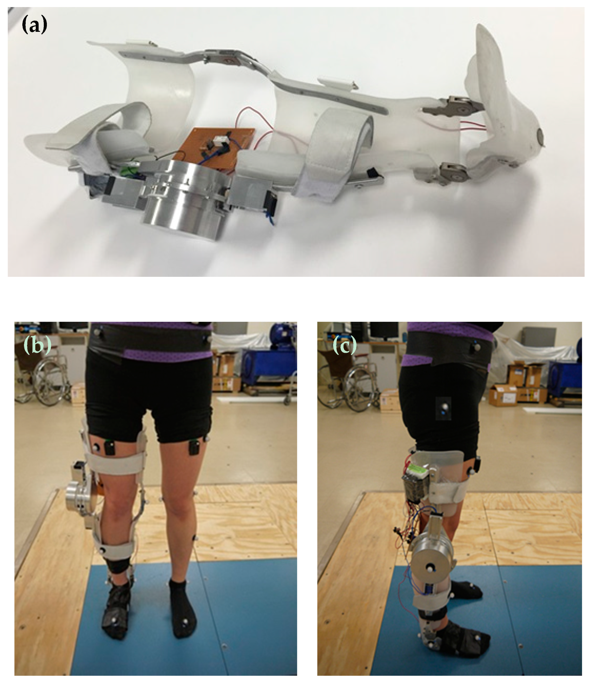 Bioengineering 06 00037 g015