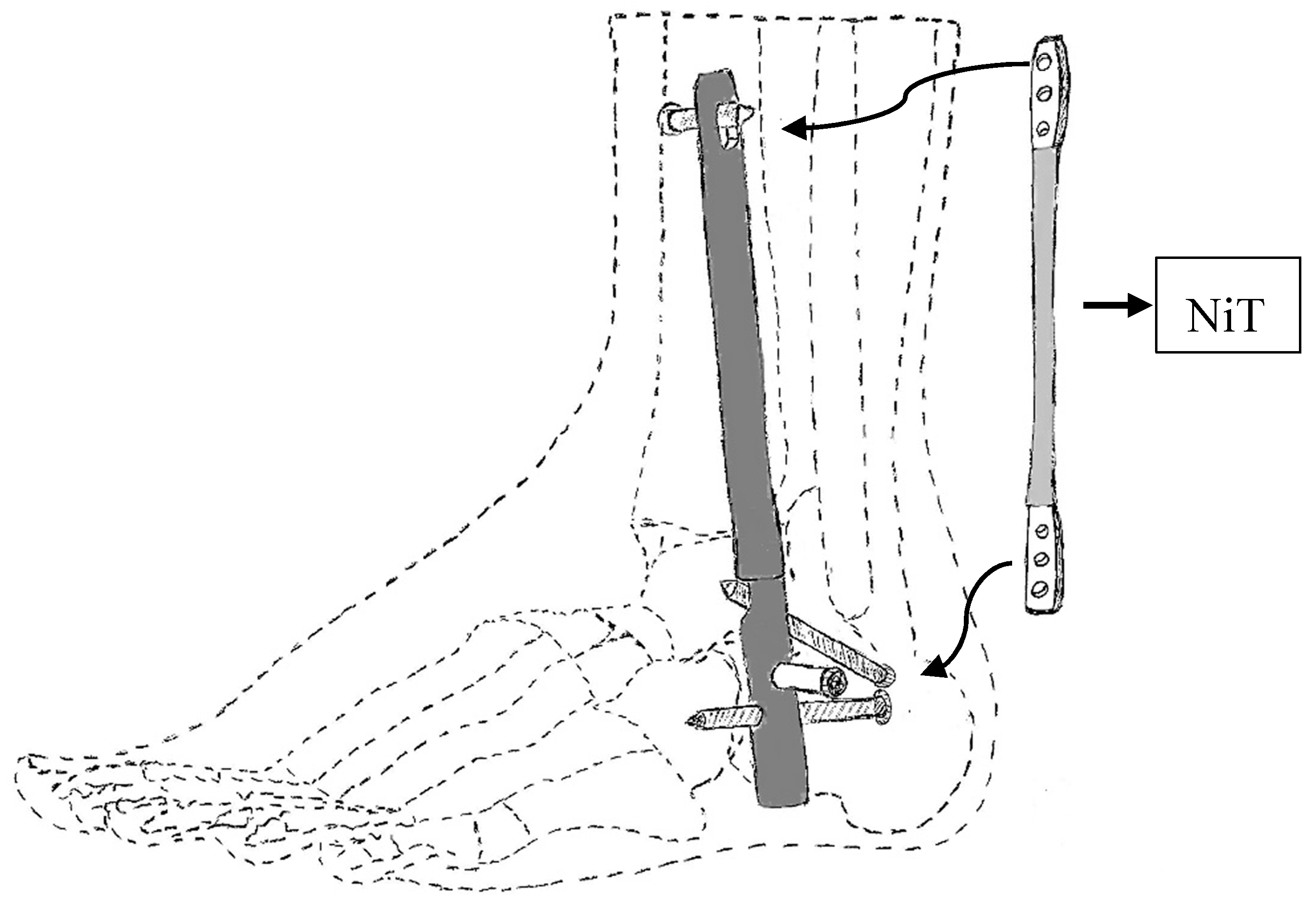 Bioengineering 06 00037 g030