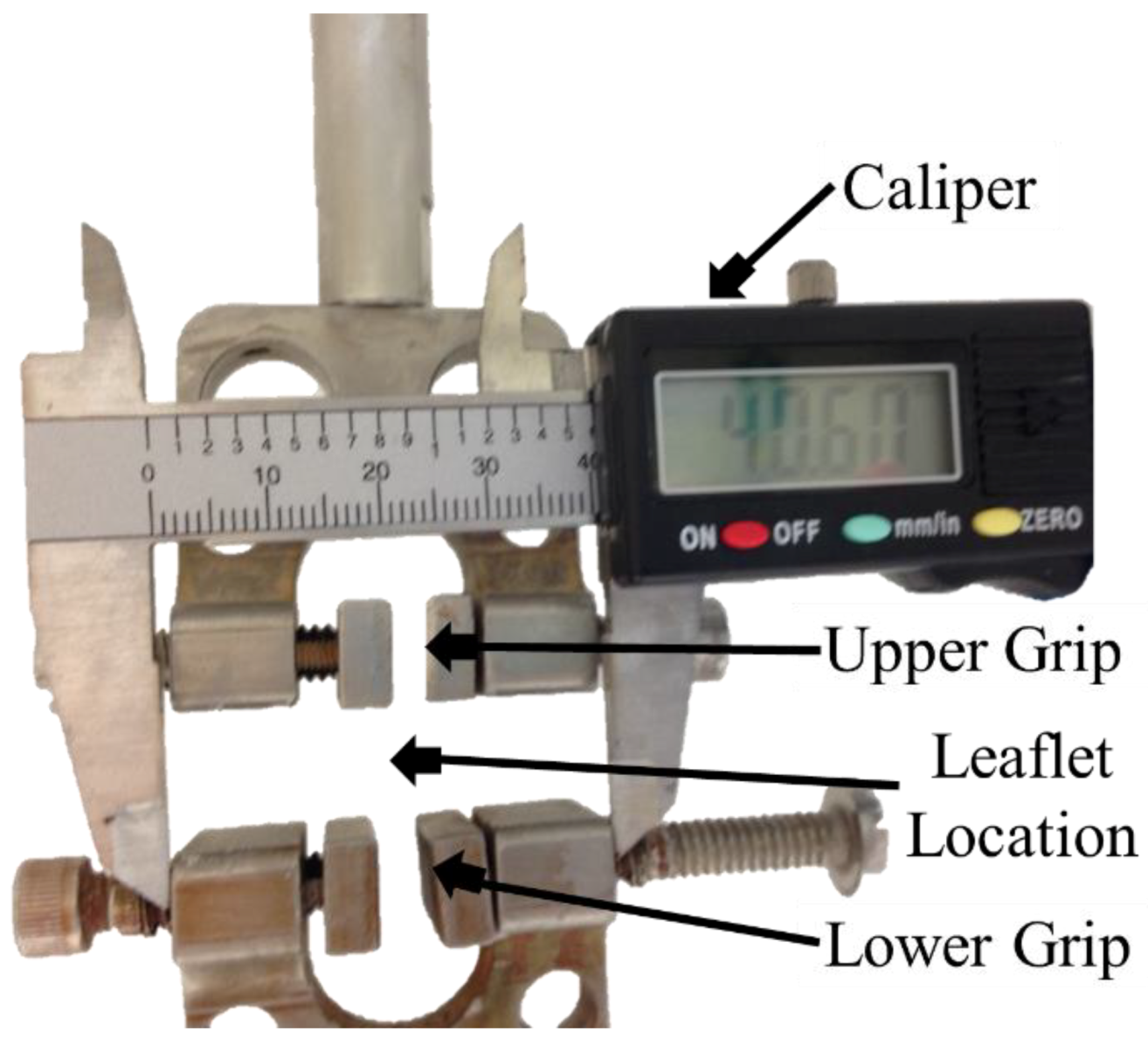 Bioengineering 06 00039 g001 Bioengineering 06 00039 g001