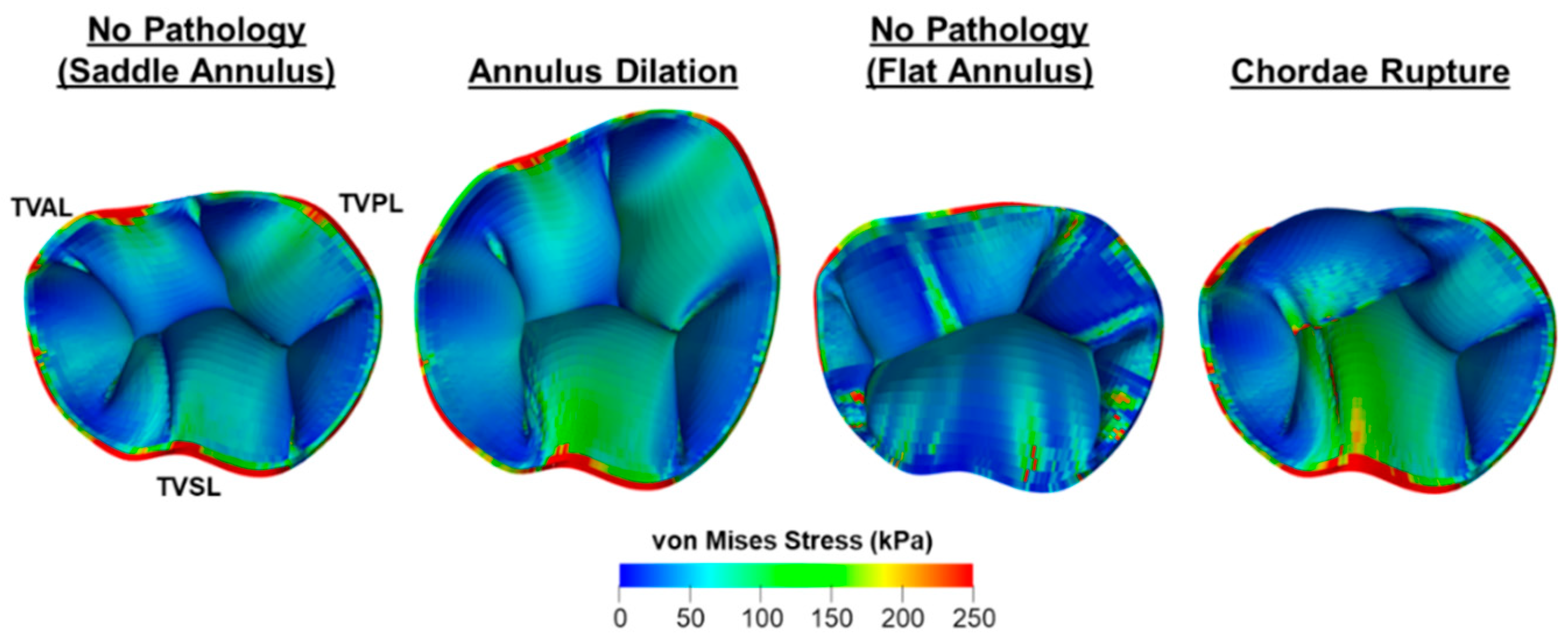Bioengineering 06 00047 g017