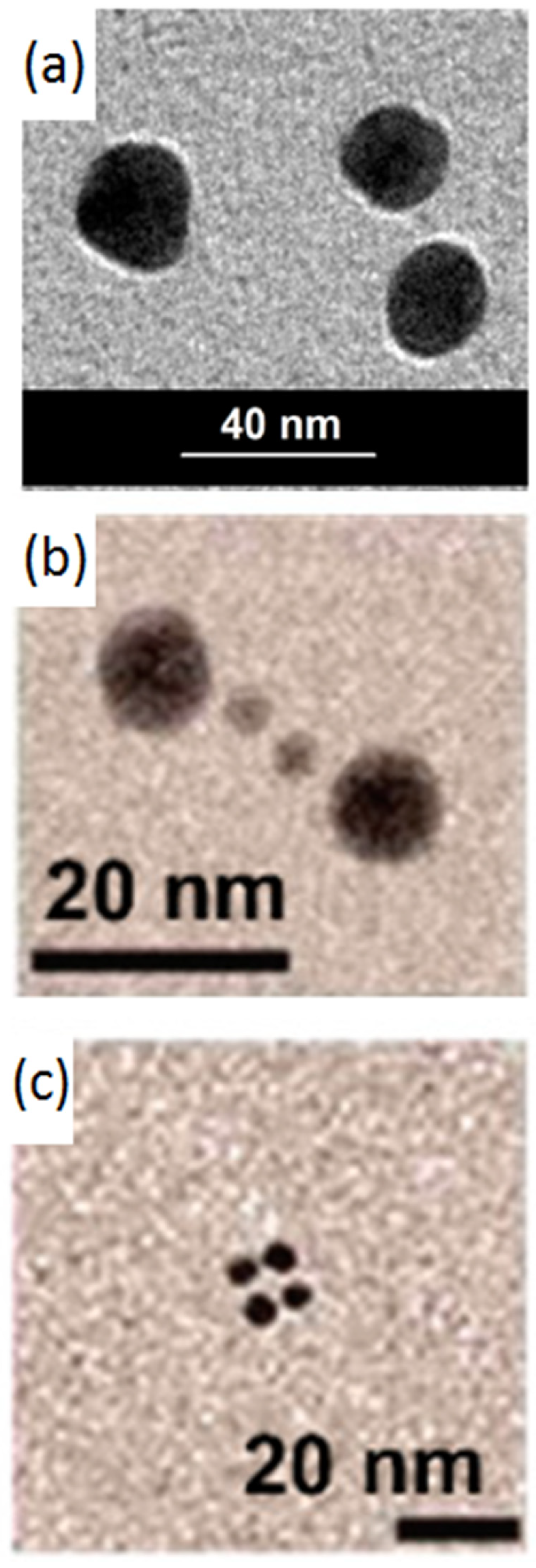 Bioengineering 06 00053 g003 Bioengineering 06 00053 g003