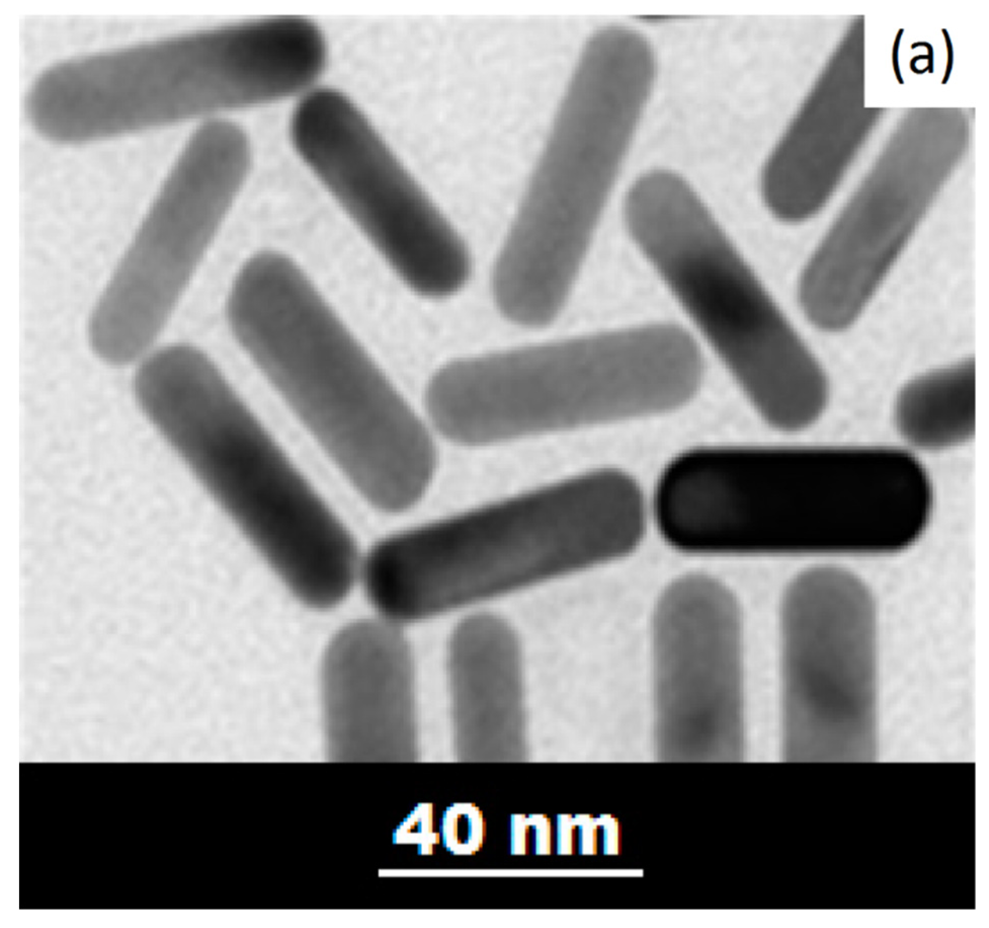 Bioengineering 06 00053 g004a Bioengineering 06 00053 g004a