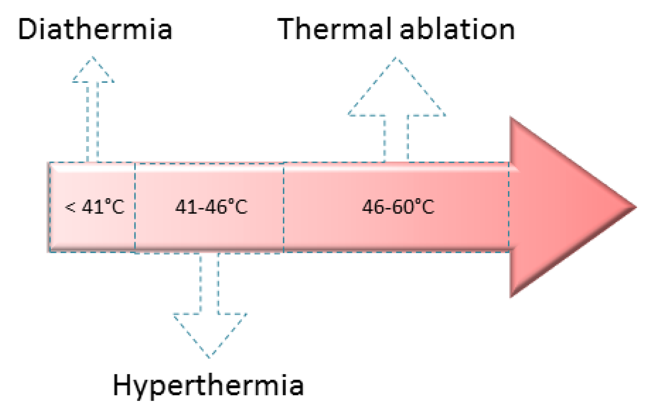 Bioengineering 06 00075 g008