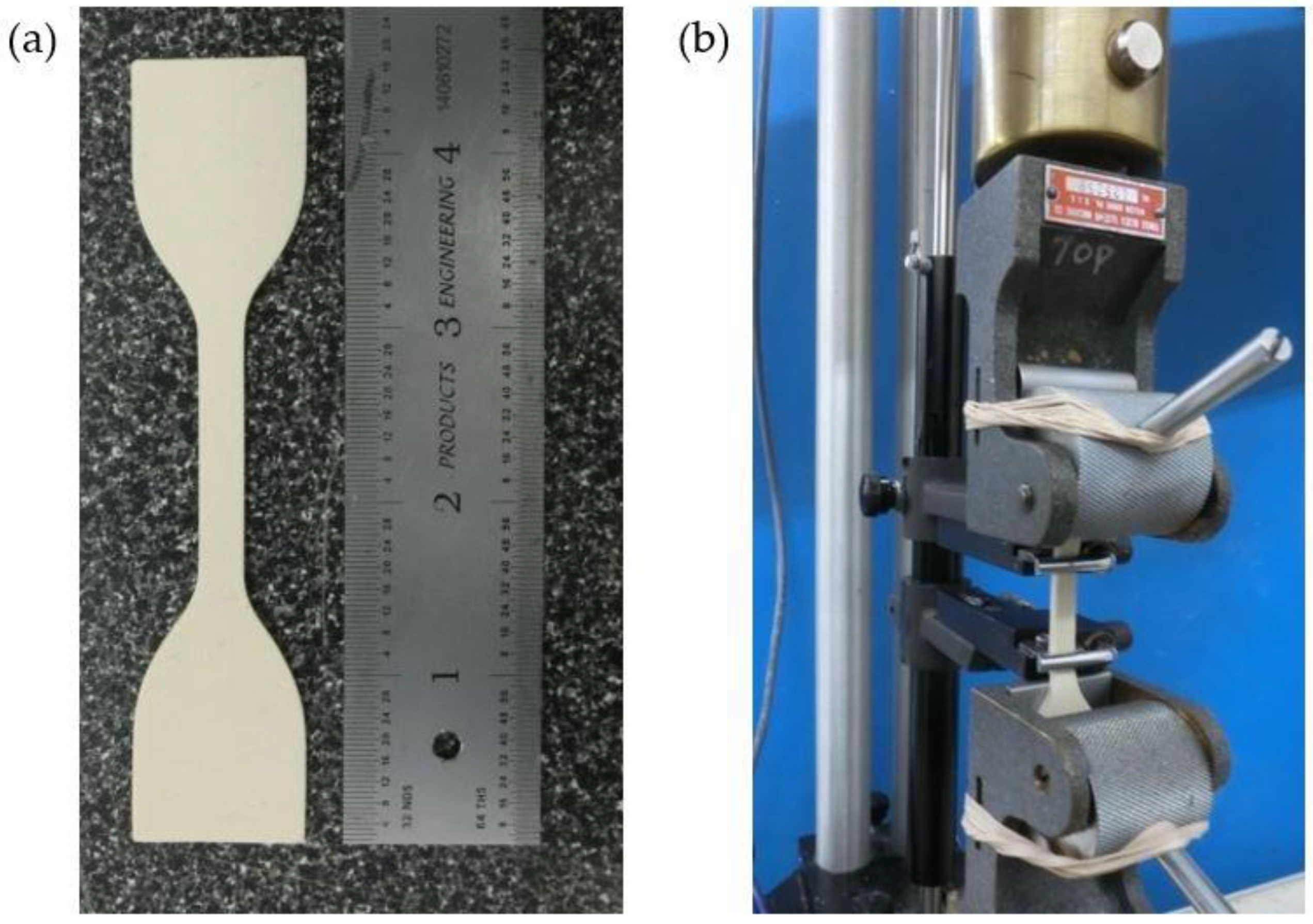 Bioengineering 06 00083 g001