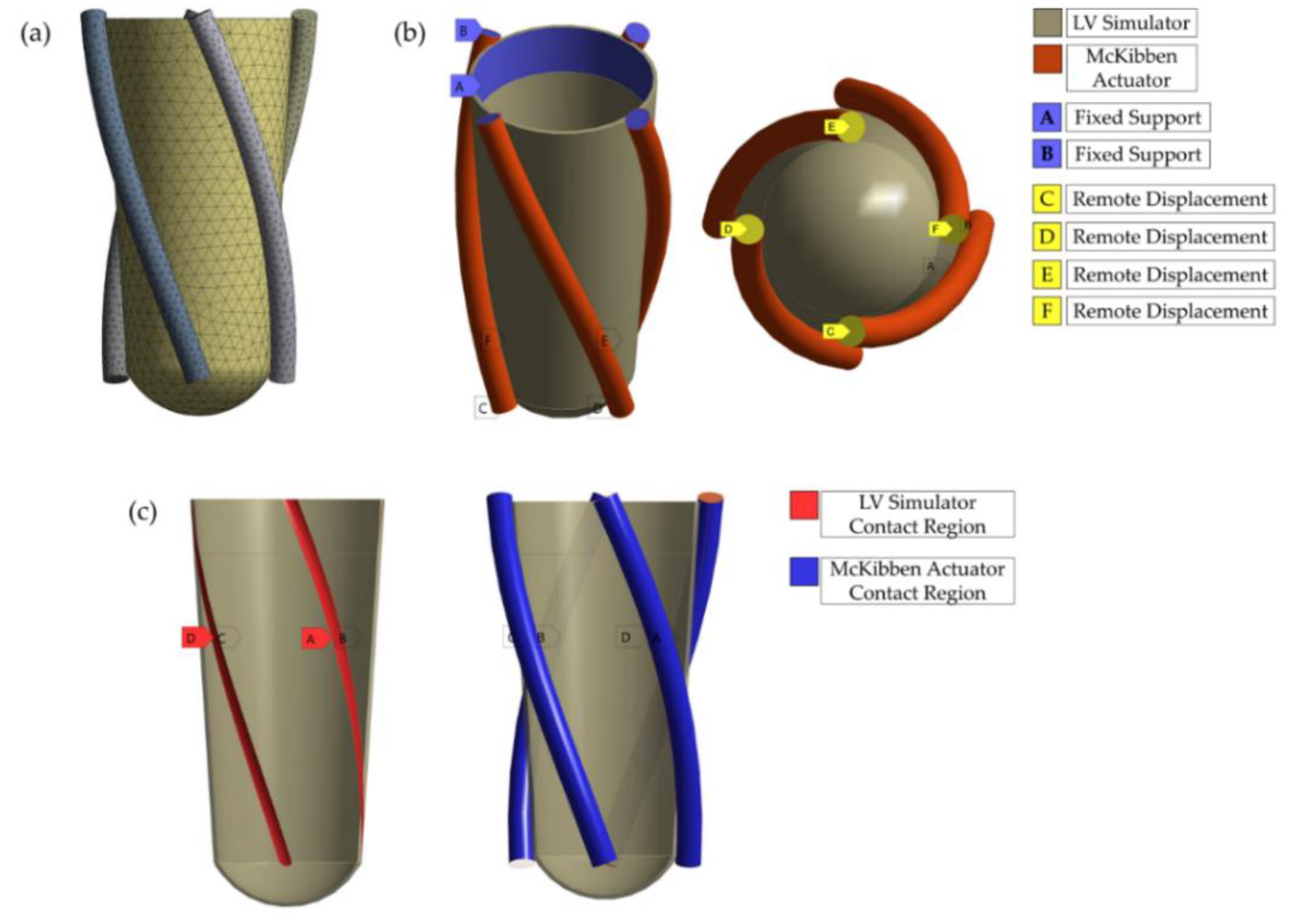 Bioengineering 06 00083 g003