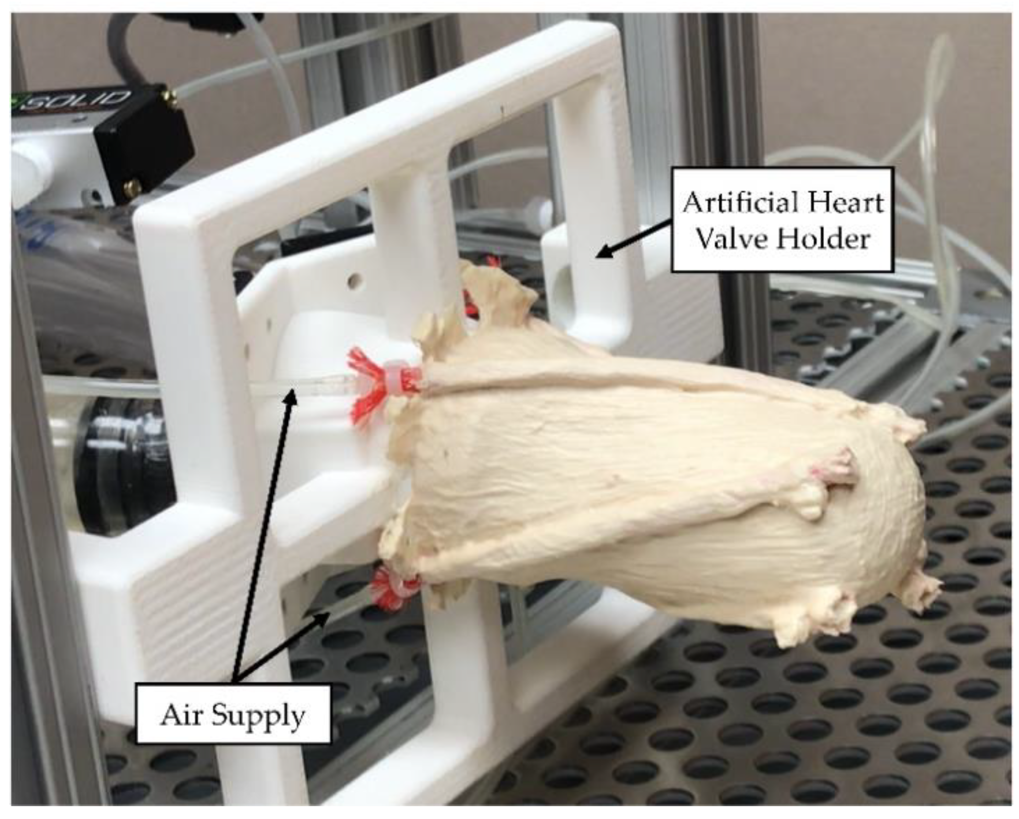 Bioengineering 06 00083 g005