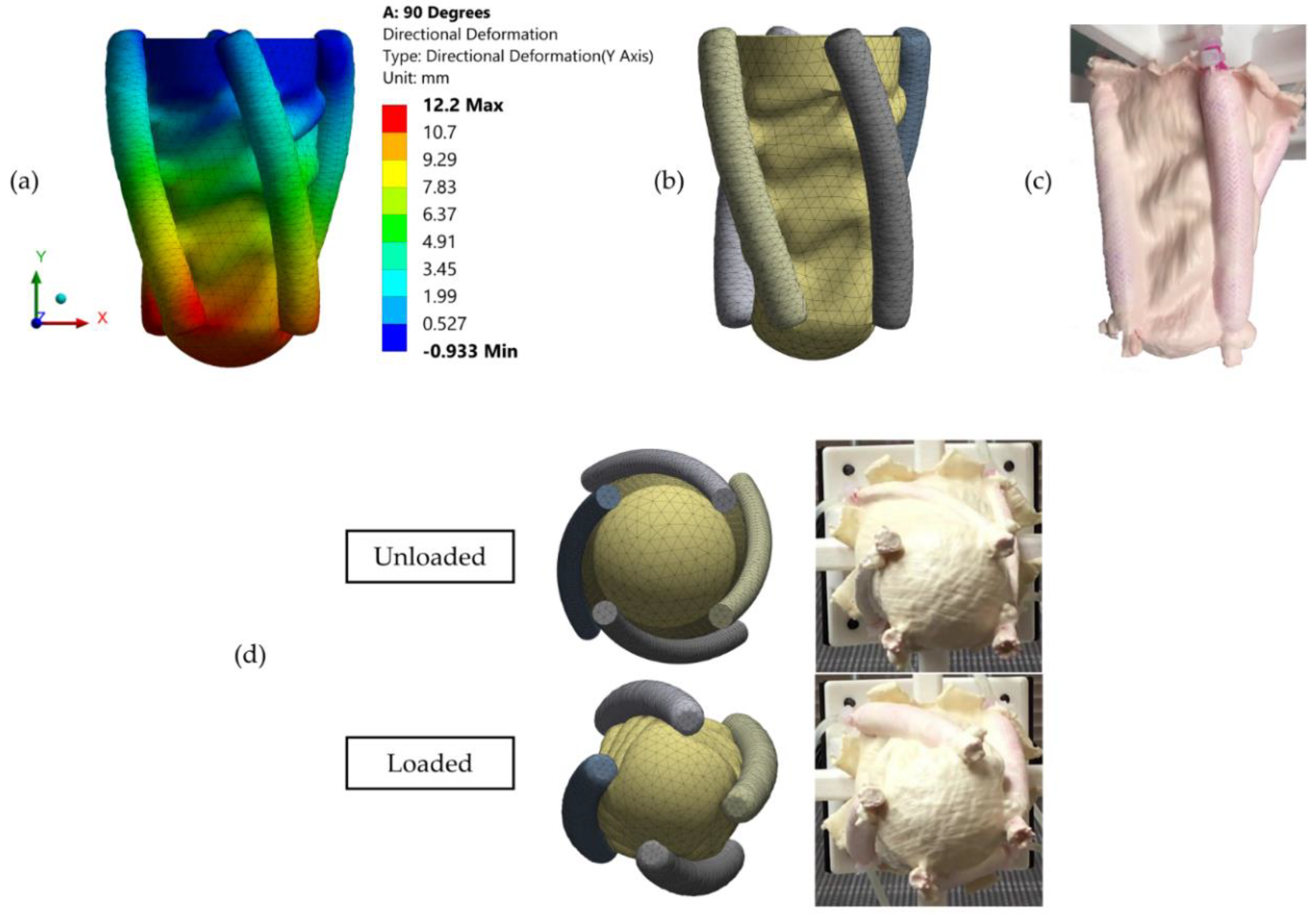 Bioengineering 06 00083 g007