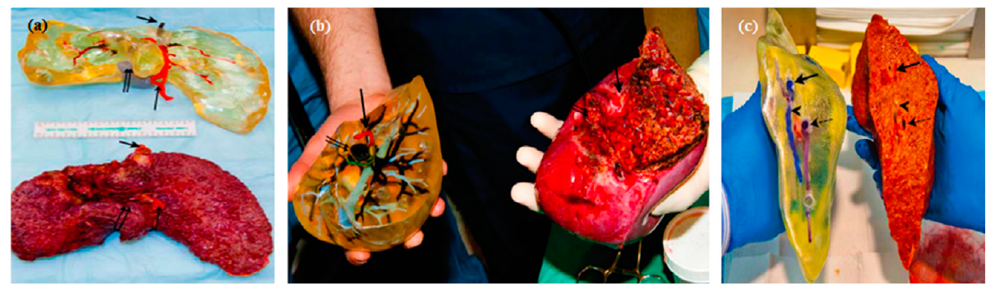 Bioengineering 06 00095 g005