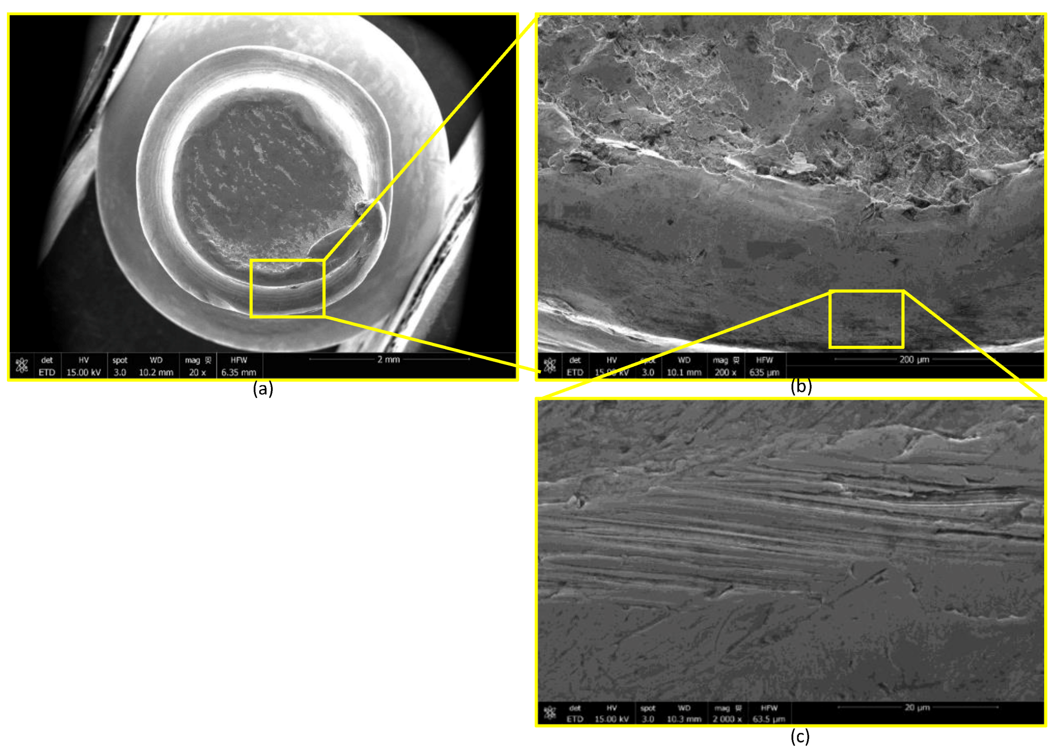 Bioengineering 07 00027 g0a8 Bioengineering 07 00027 g0a8