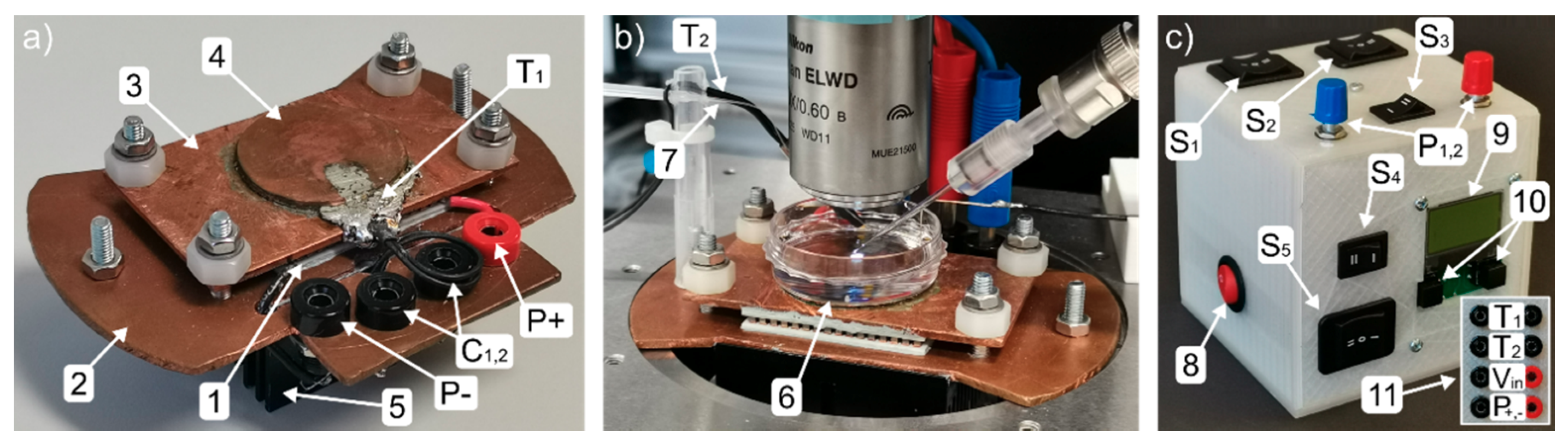 Bioengineering 07 00046 g001