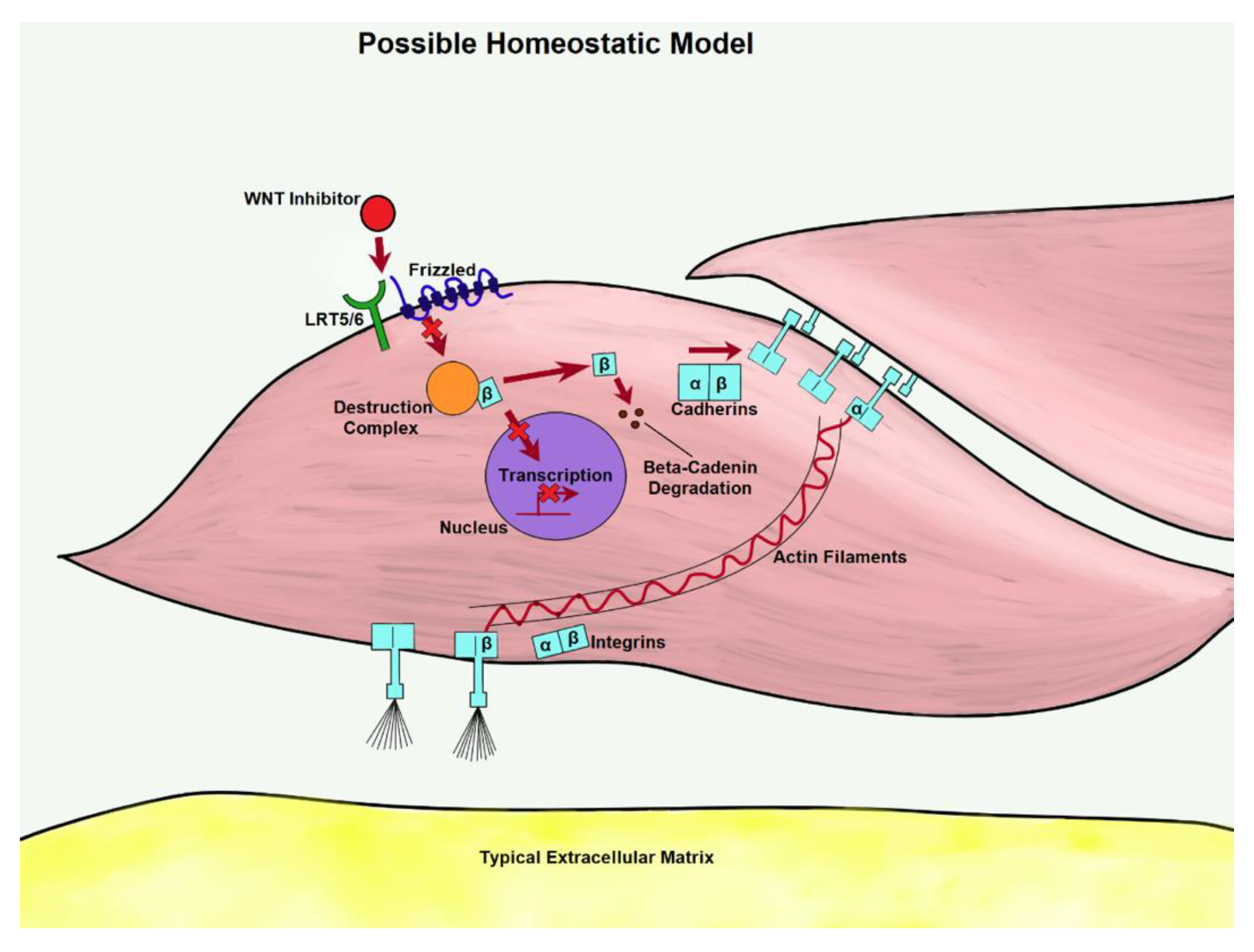 Bioengineering 07 00088 g003 Bioengineering 07 00088 g003