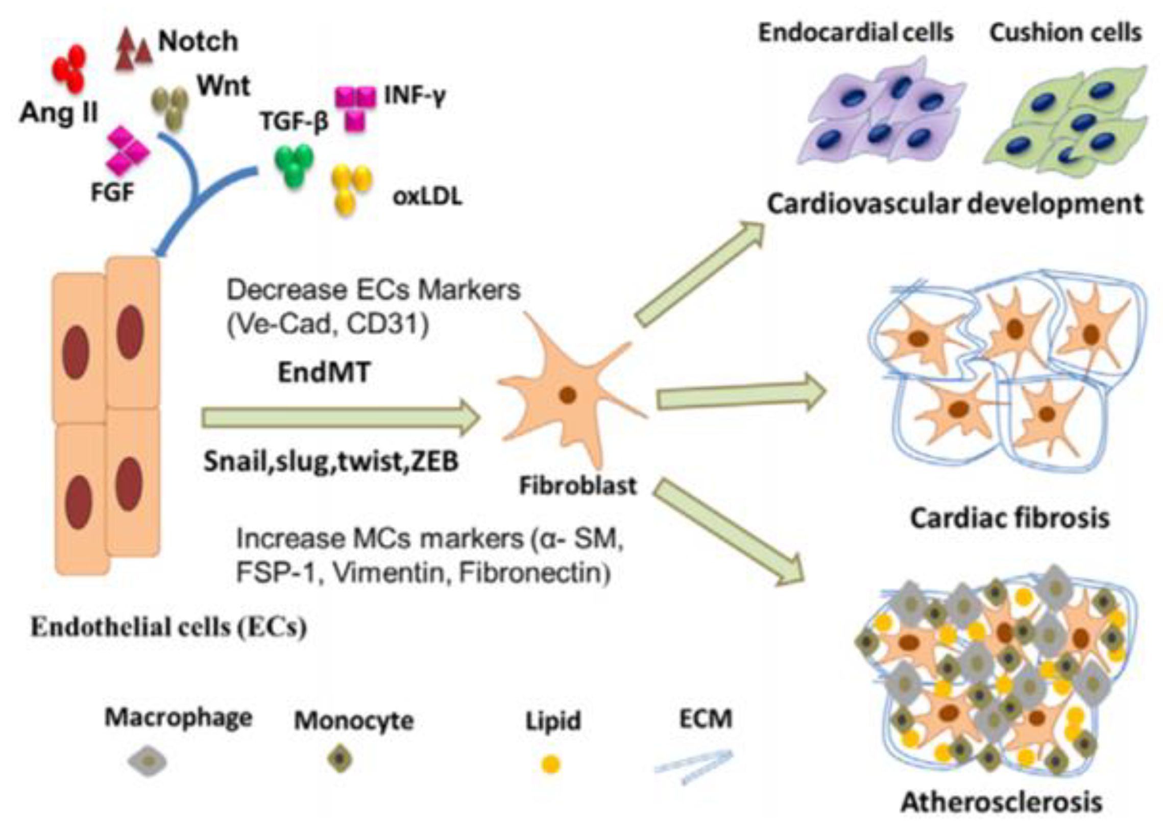 Bioengineering 07 00088 g009 Bioengineering 07 00088 g009