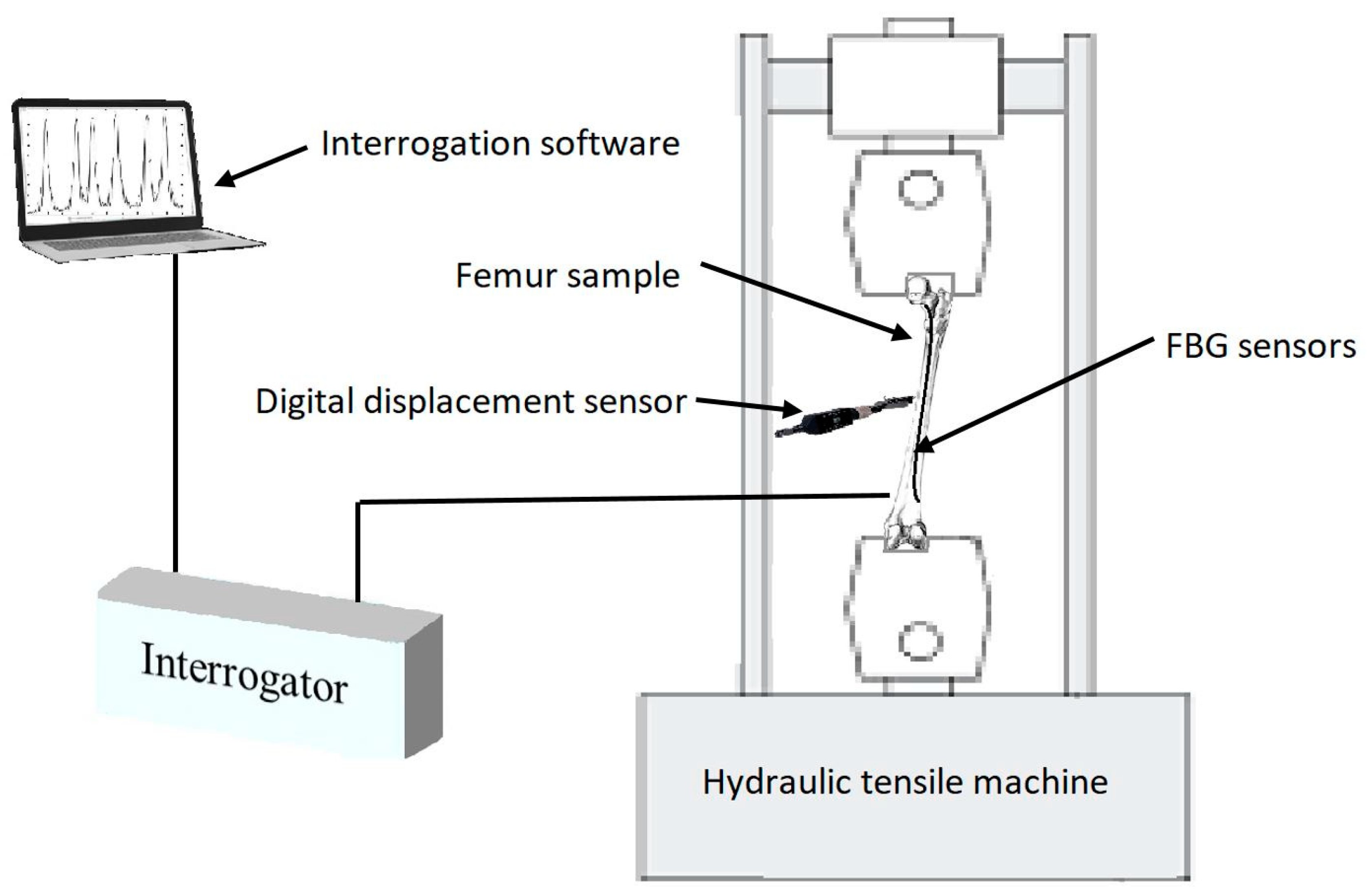 Bioengineering 07 00098 g003