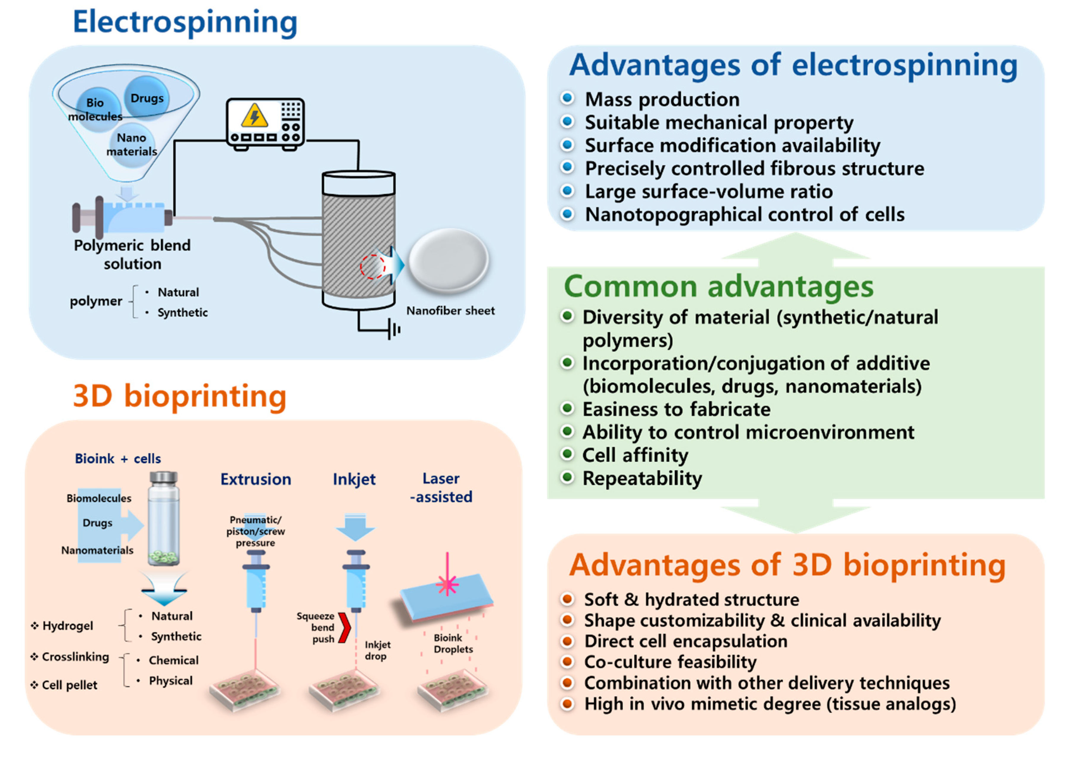 Bioengineering 07 00099 g001 Bioengineering 07 00099 g001