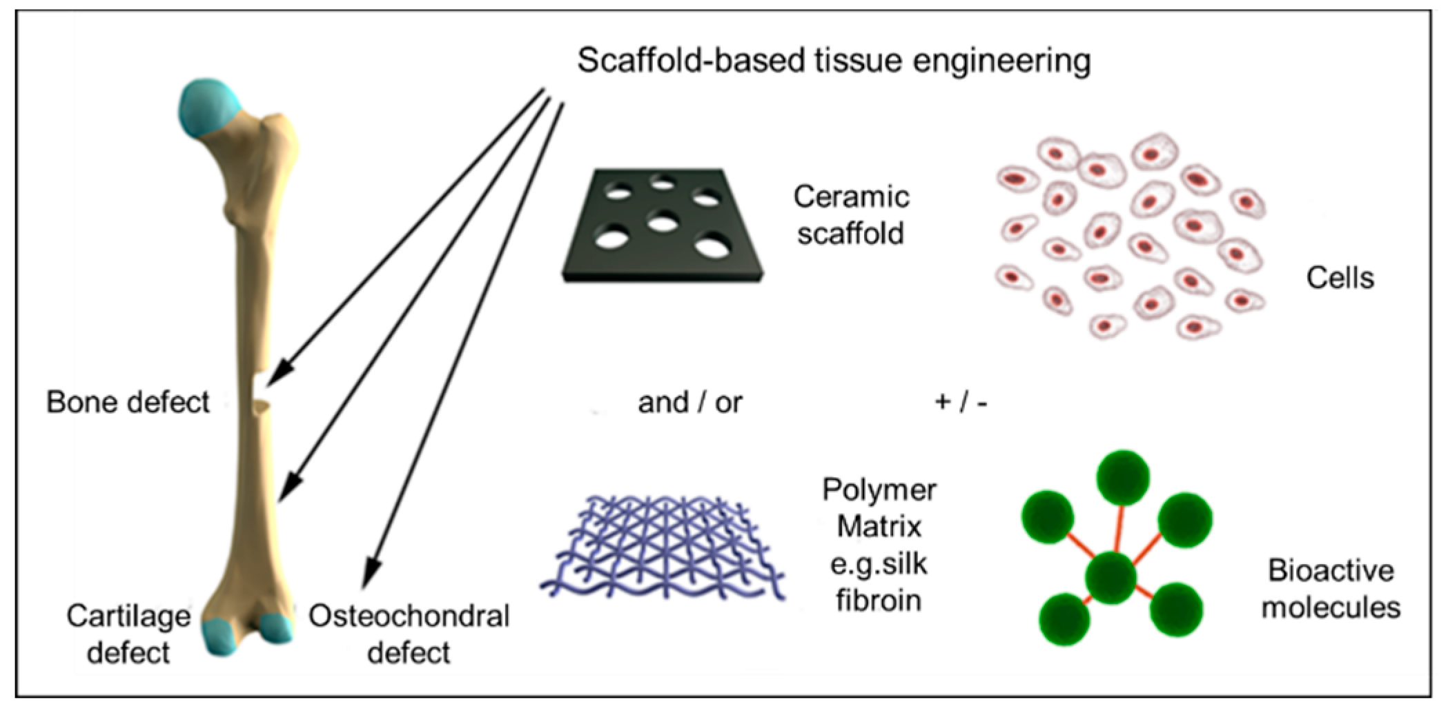 Bioengineering | Free Full-Text | Mineralization of Biomaterials for Bone  Tissue Engineering