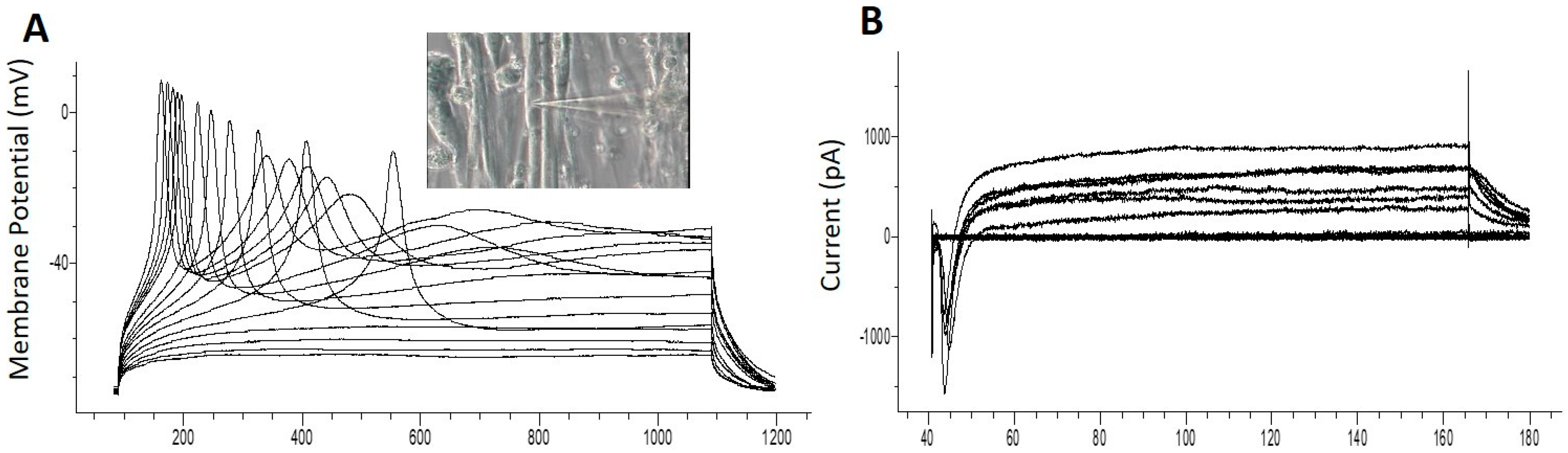 Bioengineering 07 00133 g005 Bioengineering 07 00133 g005