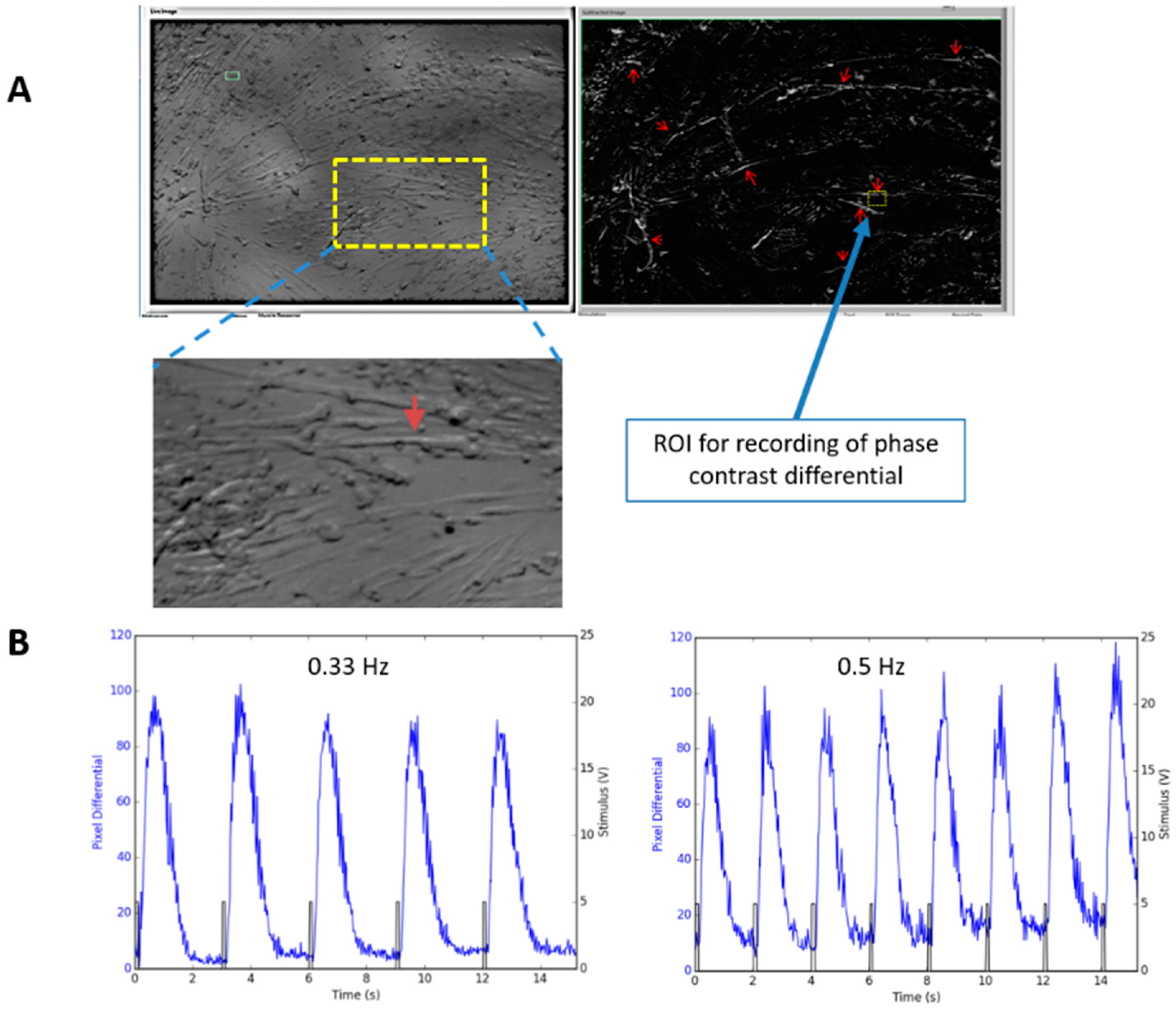 Bioengineering 07 00133 g006 Bioengineering 07 00133 g006