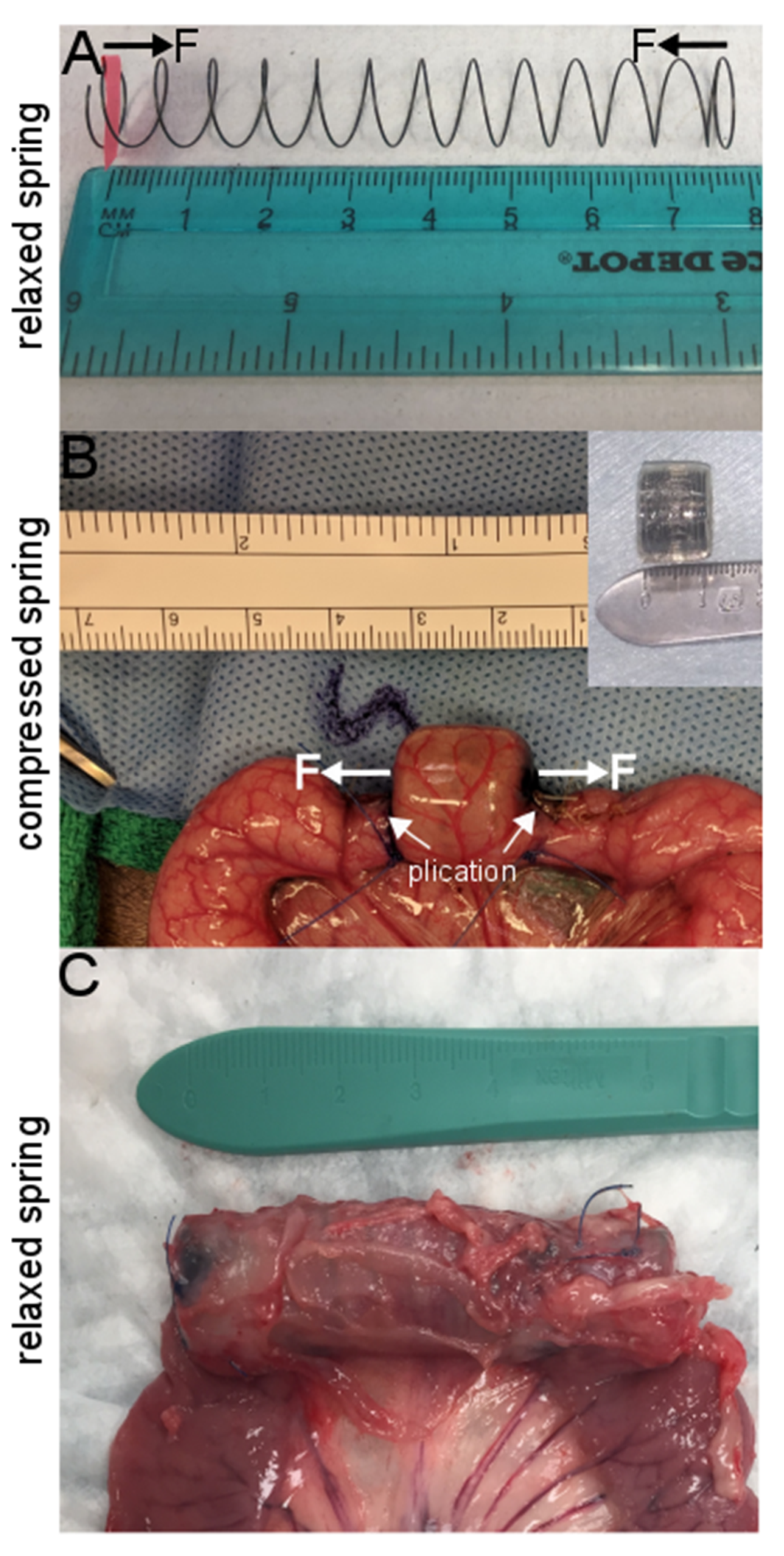 https://www.mdpi.com/bioengineering/bioengineering-07-00140/article_deploy/html/images/bioengineering-07-00140-g001.png