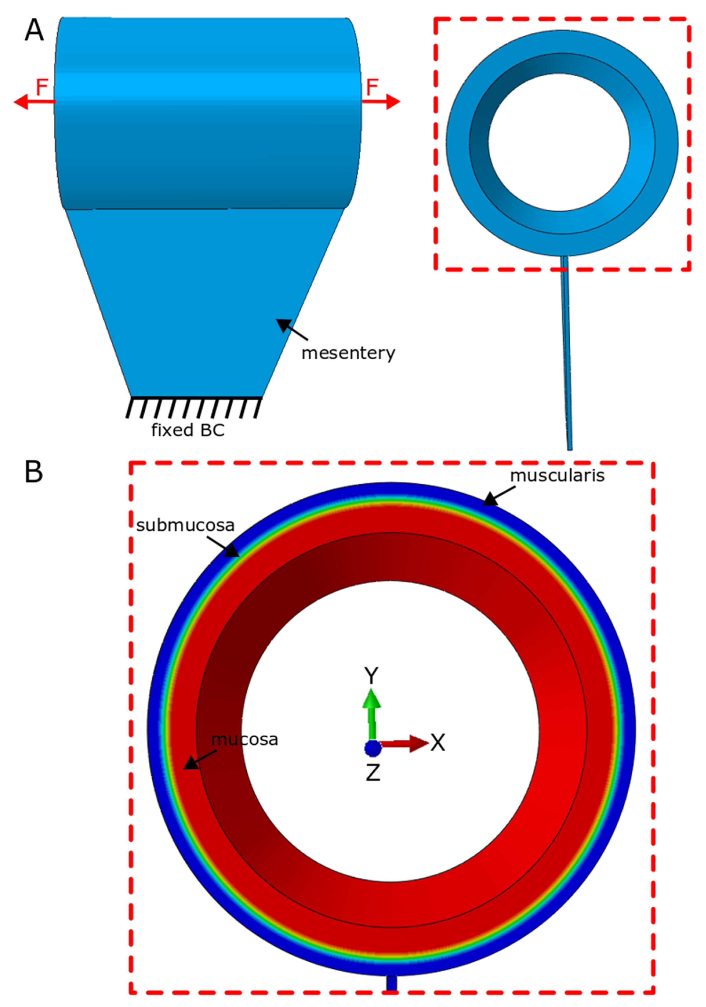 Bioengineering 07 00140 g005 Bioengineering 07 00140 g005