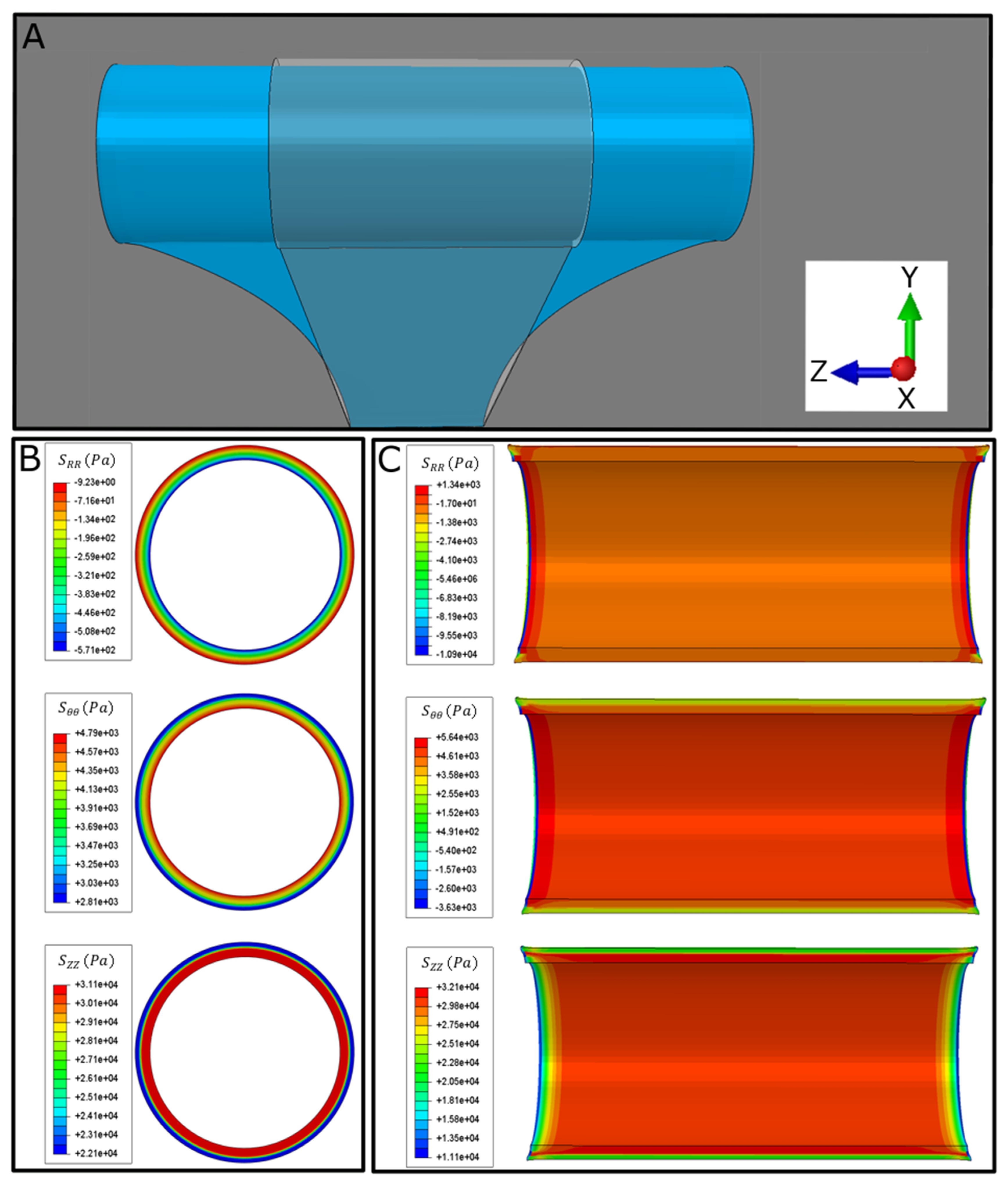 Bioengineering 07 00140 g006 Bioengineering 07 00140 g006