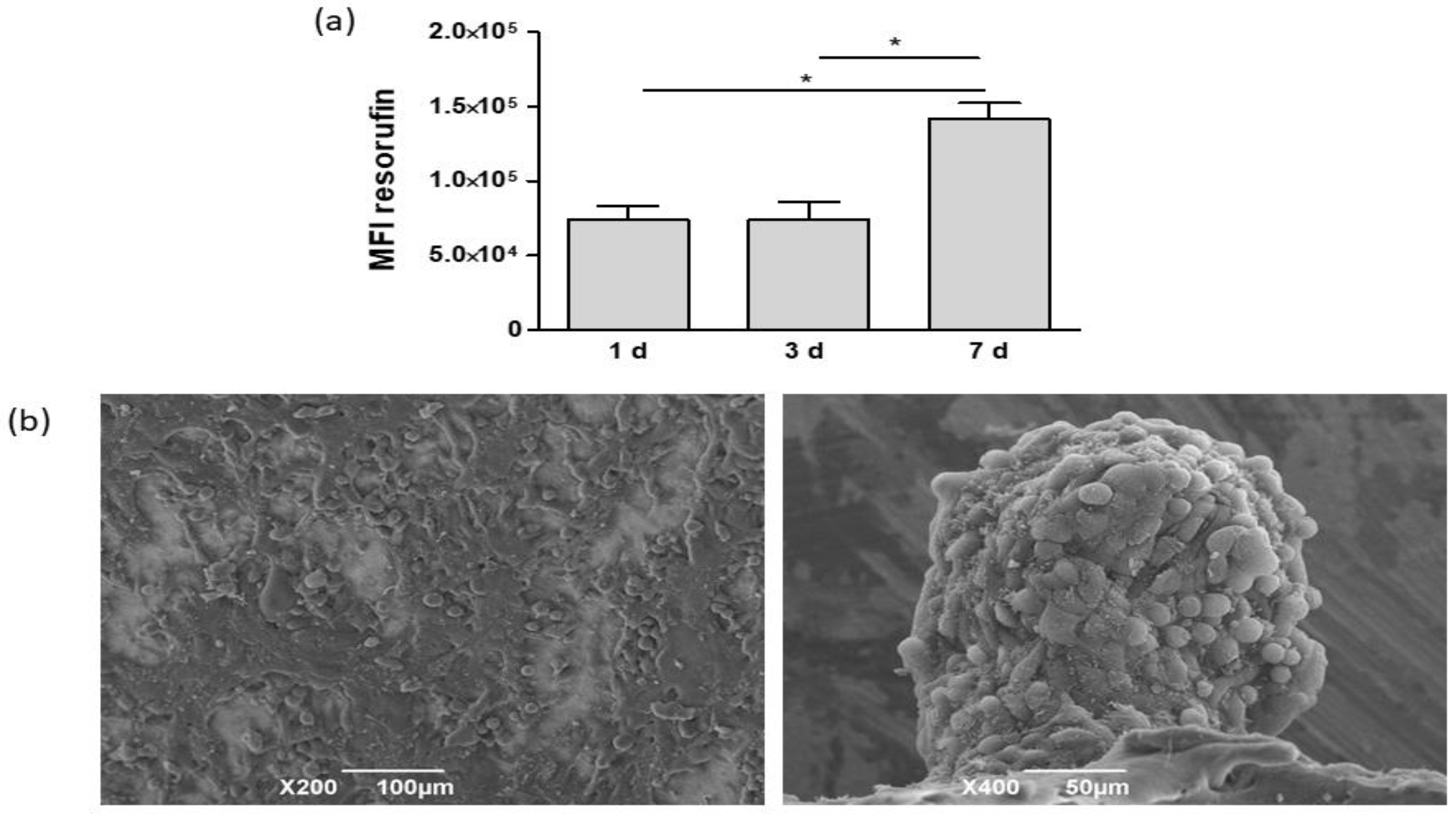 Bioengineering 08 00001 g003