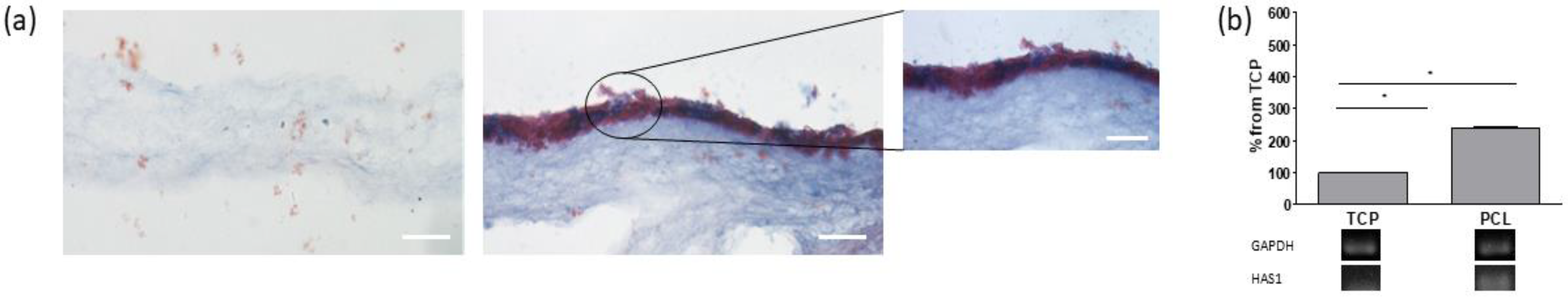 Bioengineering 08 00001 g004