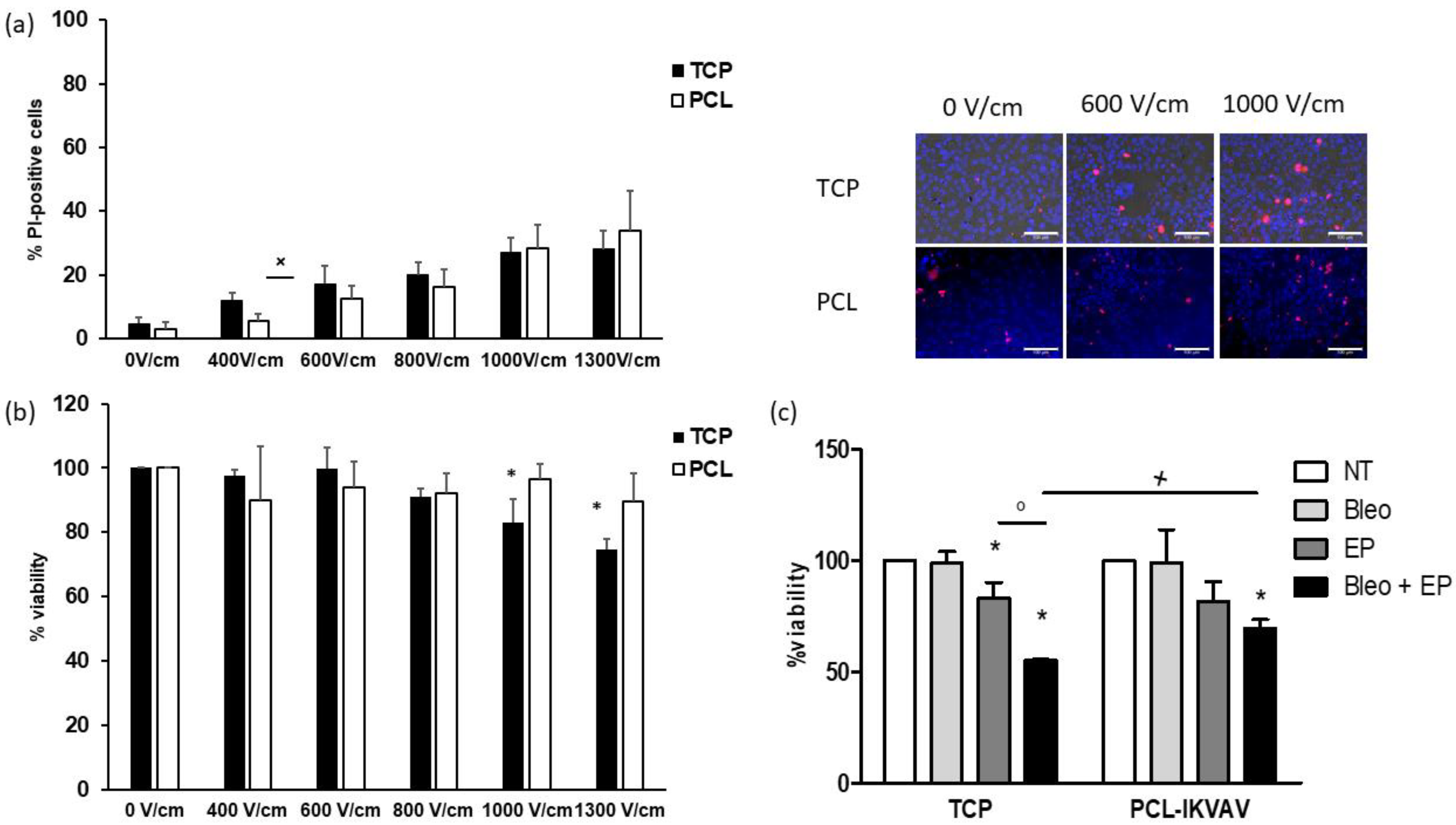 Bioengineering 08 00001 g008