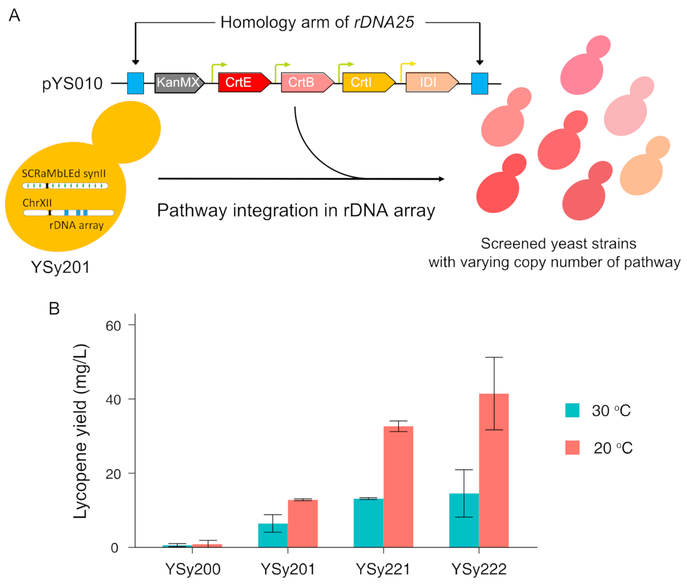 Bioengineering 08 00014 g003 Bioengineering 08 00014 g003