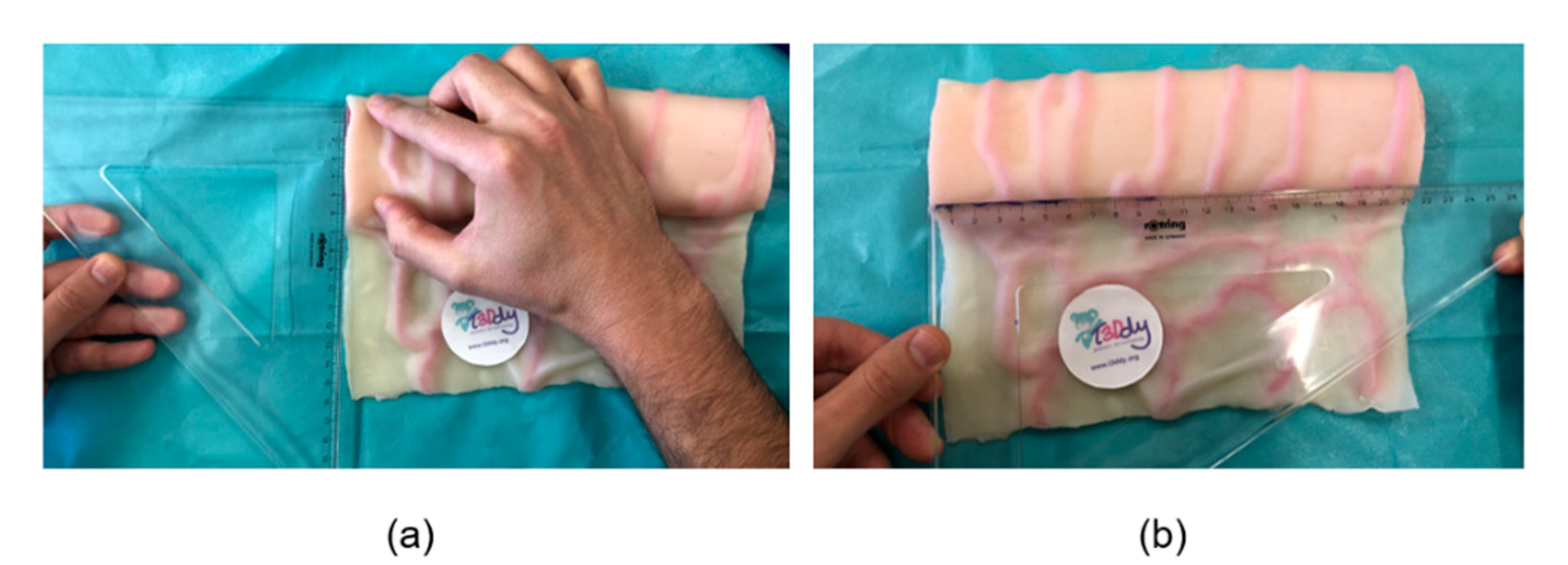 Bioengineering 08 00020 g001