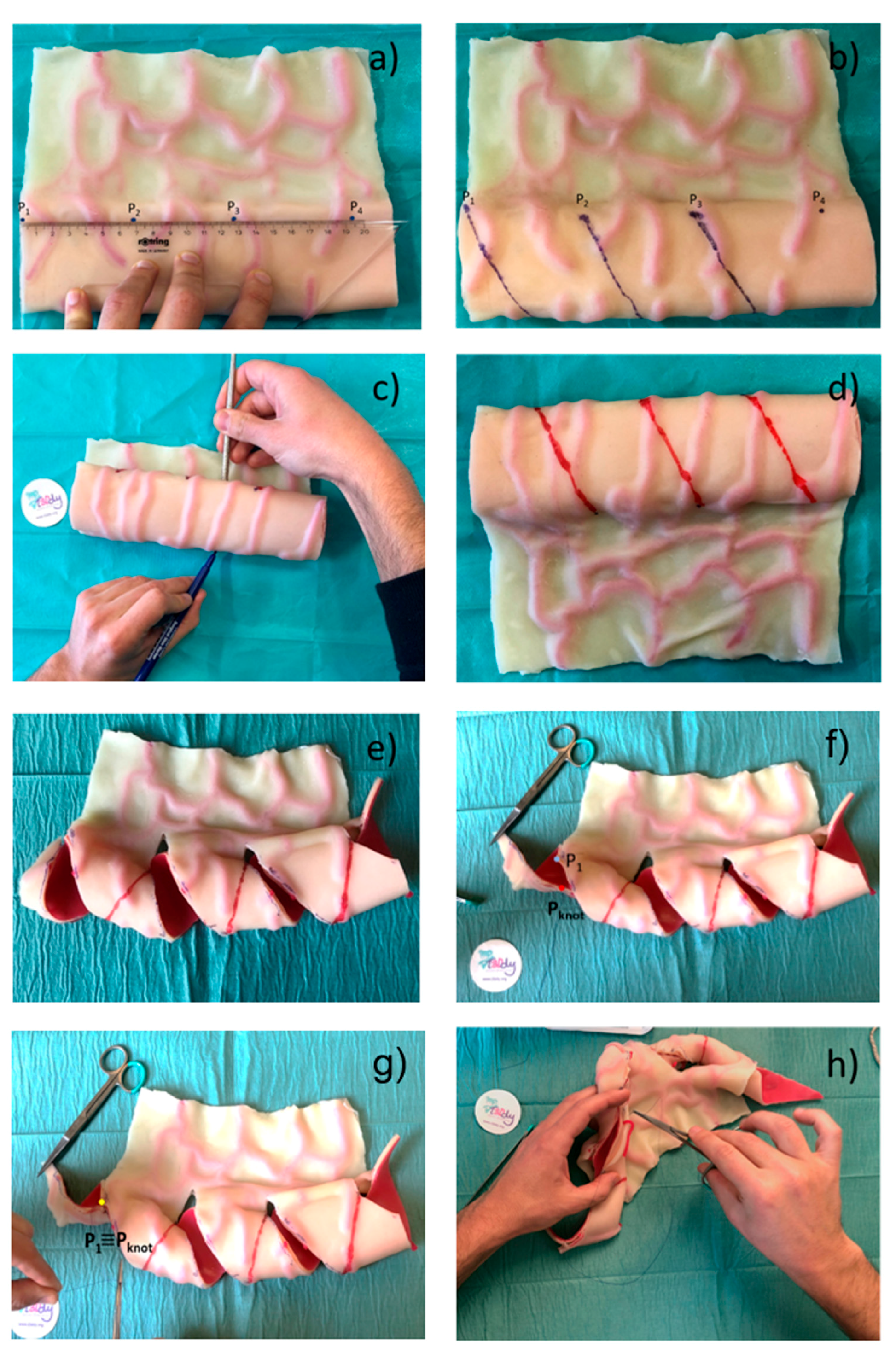 Bioengineering 08 00020 g007