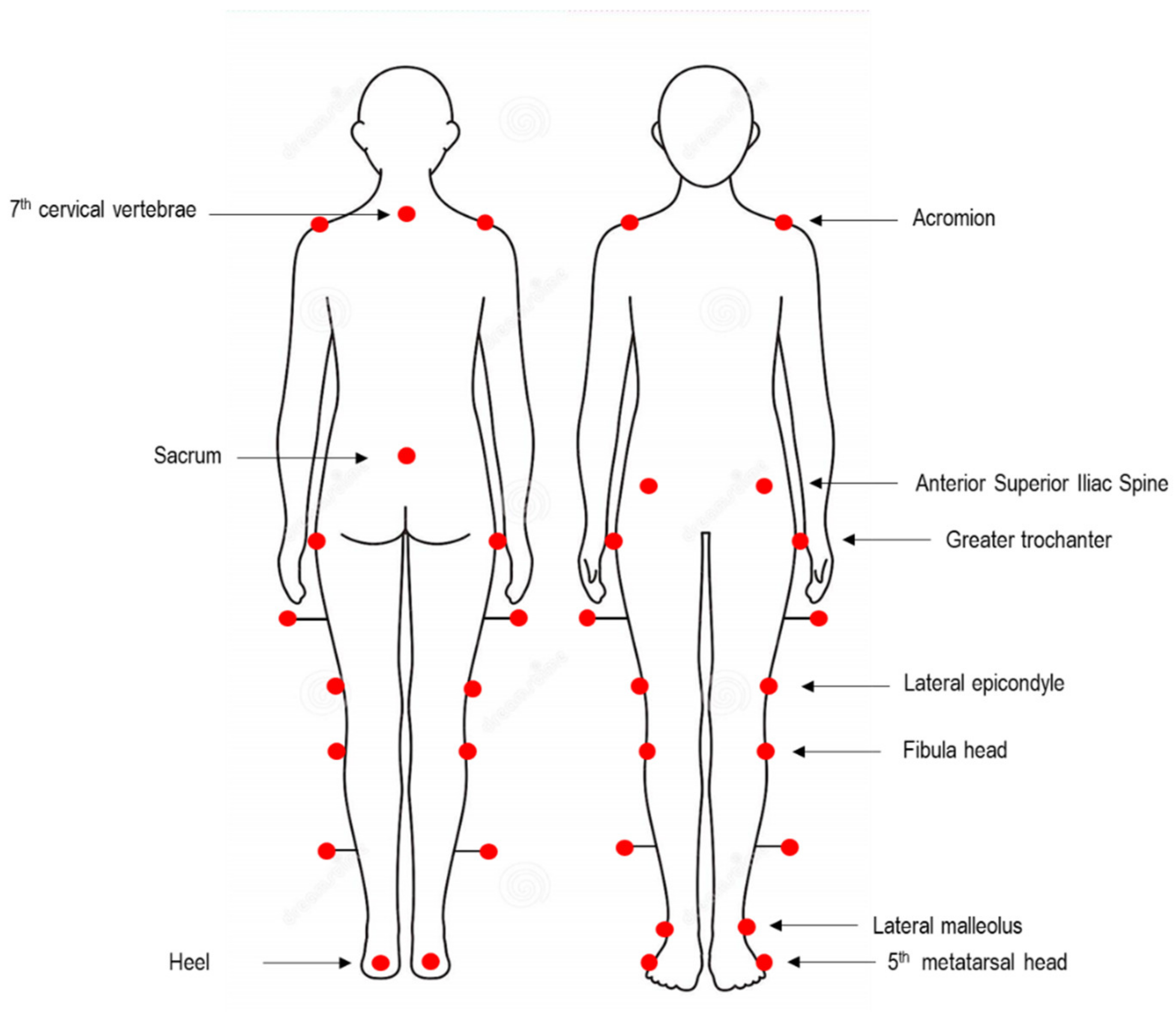 Bioengineering 08 00047 g002