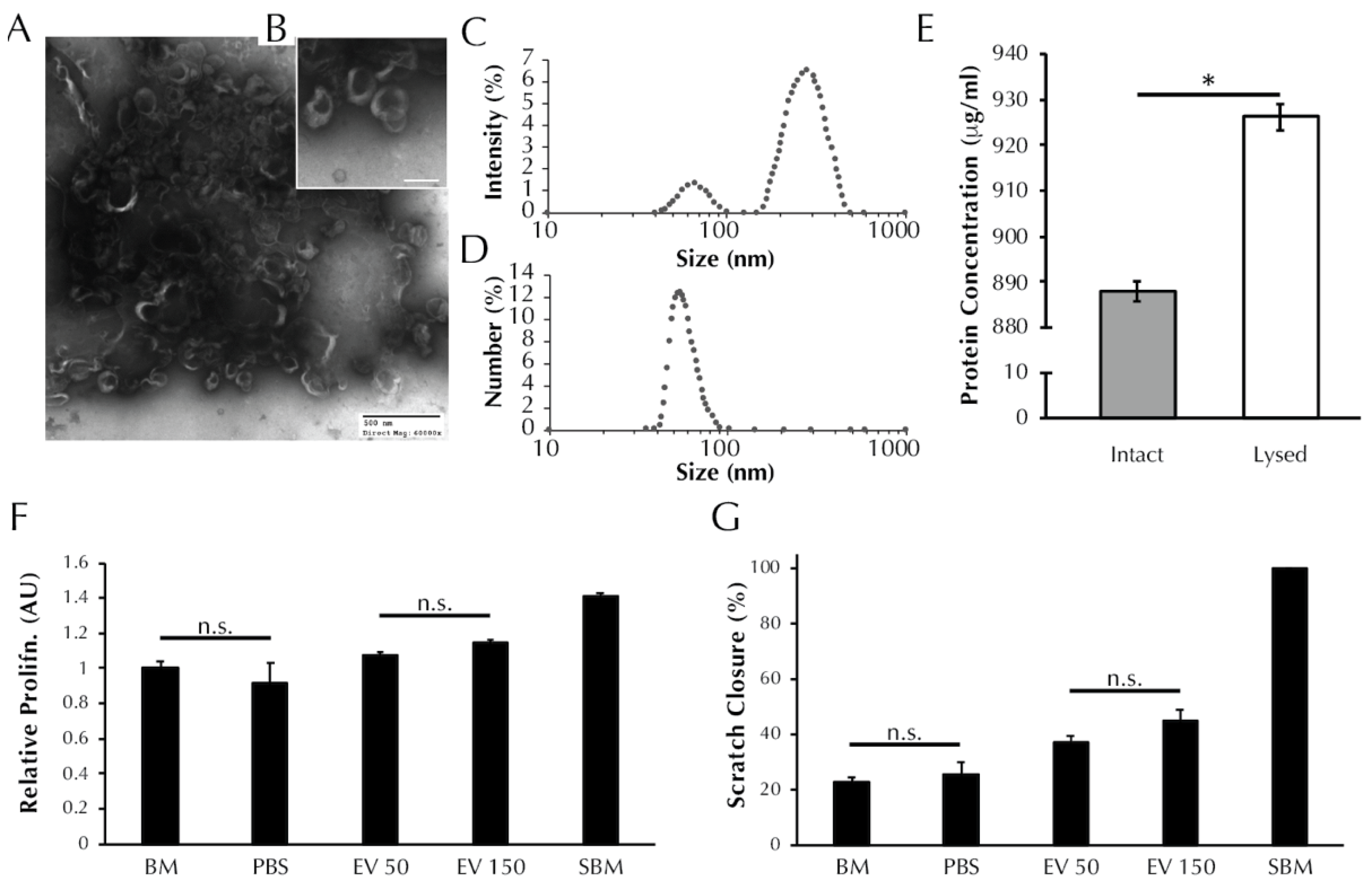 https://www.mdpi.com/bioengineering/bioengineering-08-00051/article_deploy/html/images/bioengineering-08-00051-g001.png