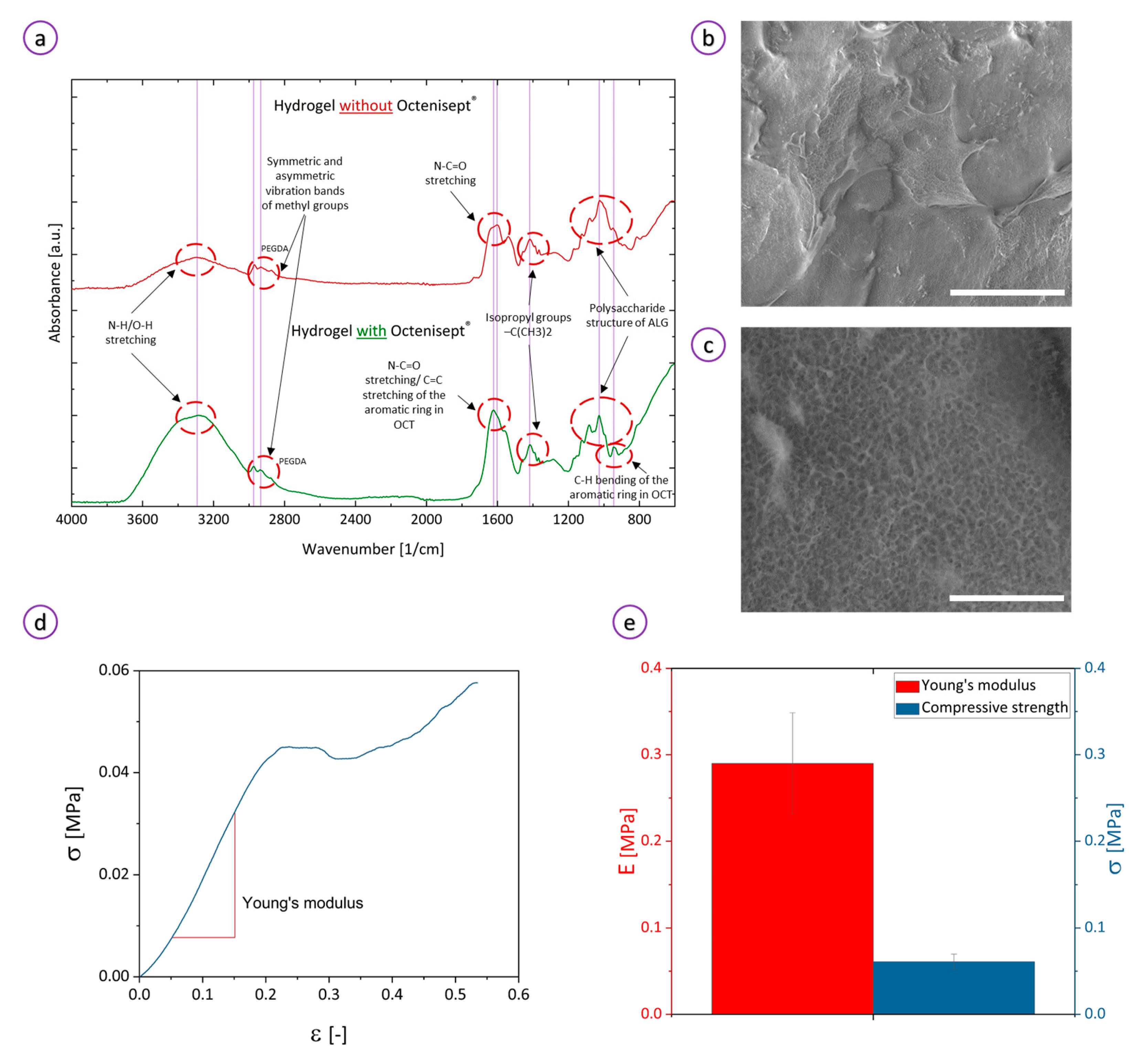 Bioengineering 08 00079 g003