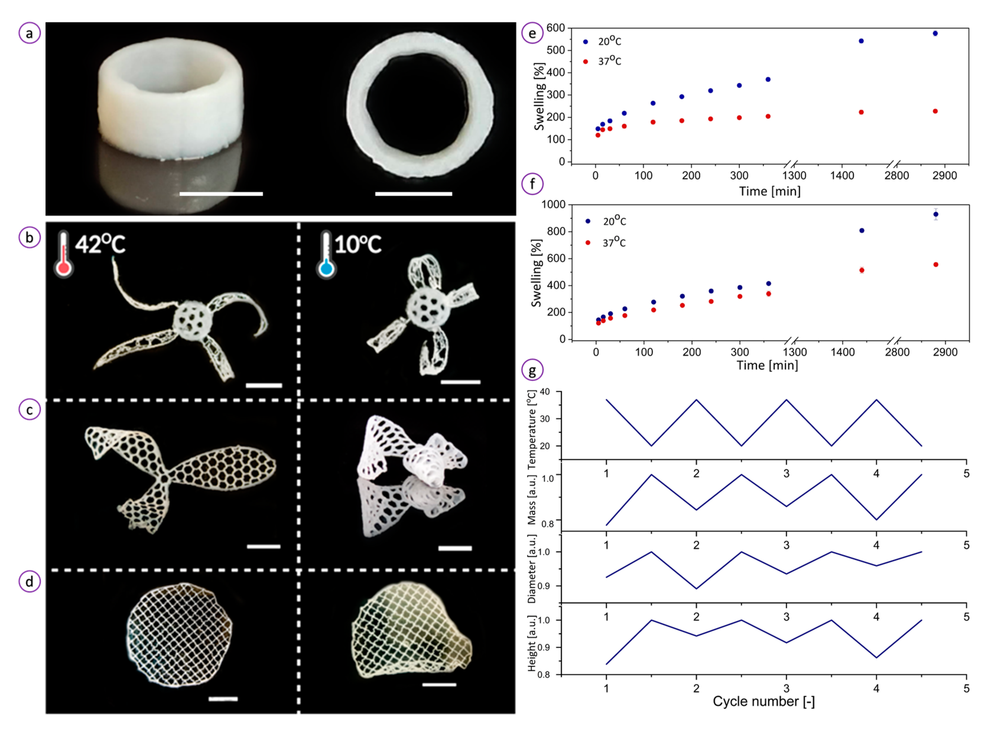 Bioengineering 08 00079 g004