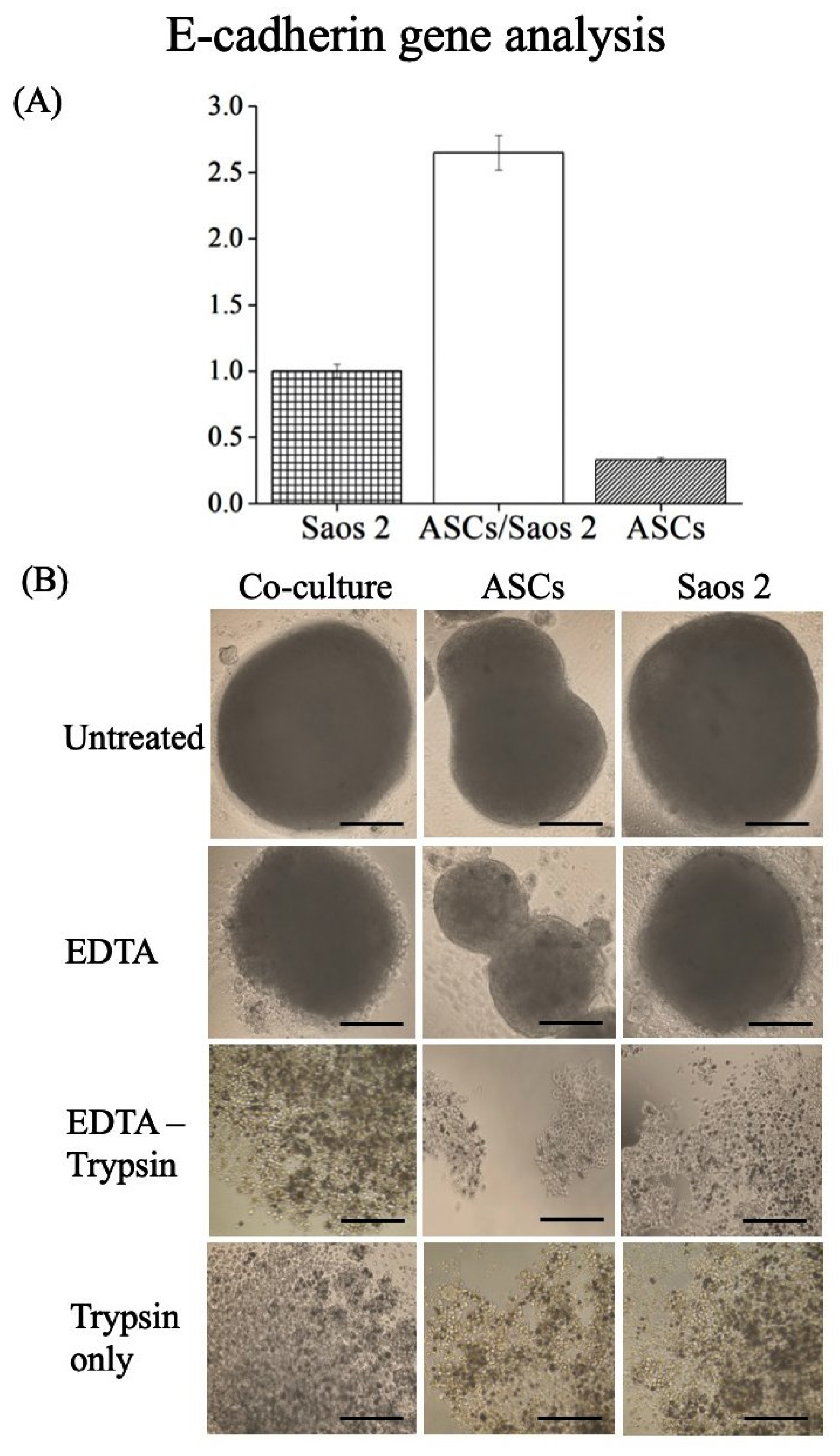 Bioengineering 08 00083 g003 Bioengineering 08 00083 g003