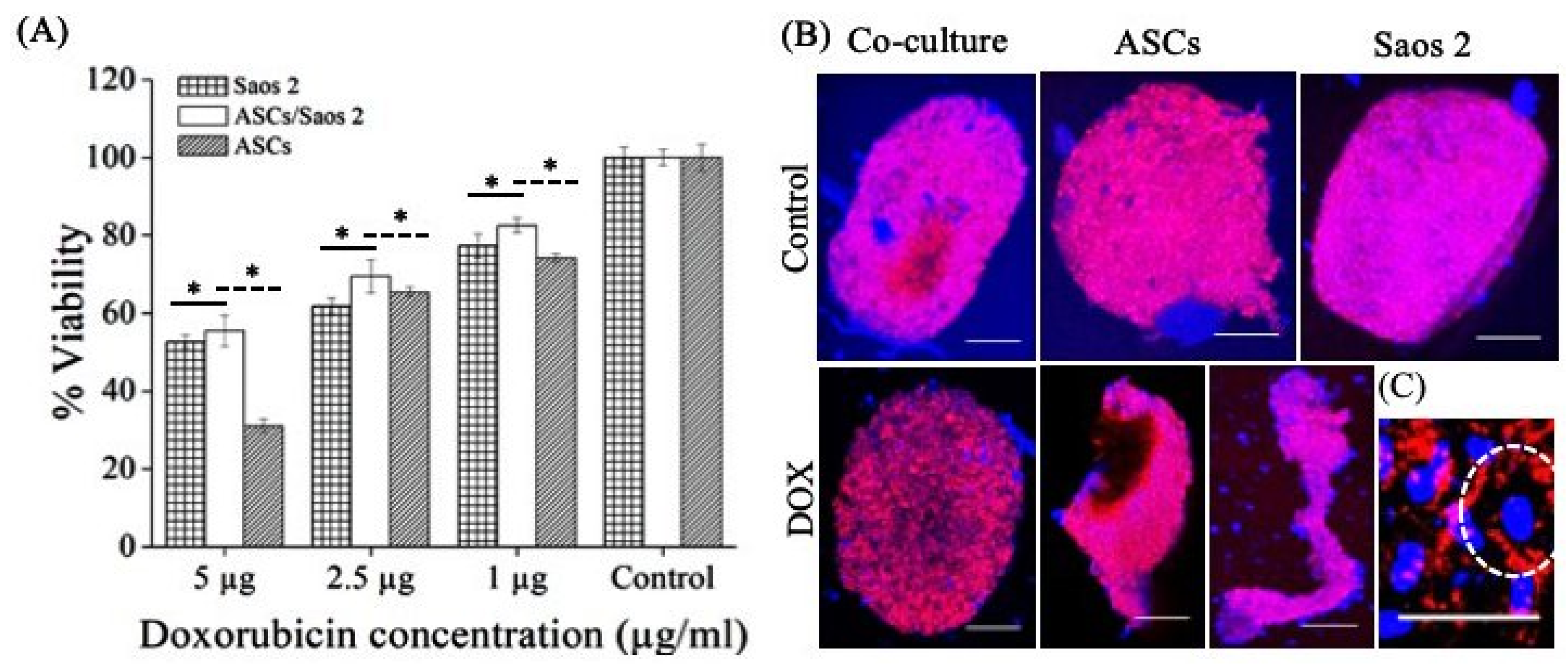 Bioengineering 08 00083 g005 Bioengineering 08 00083 g005