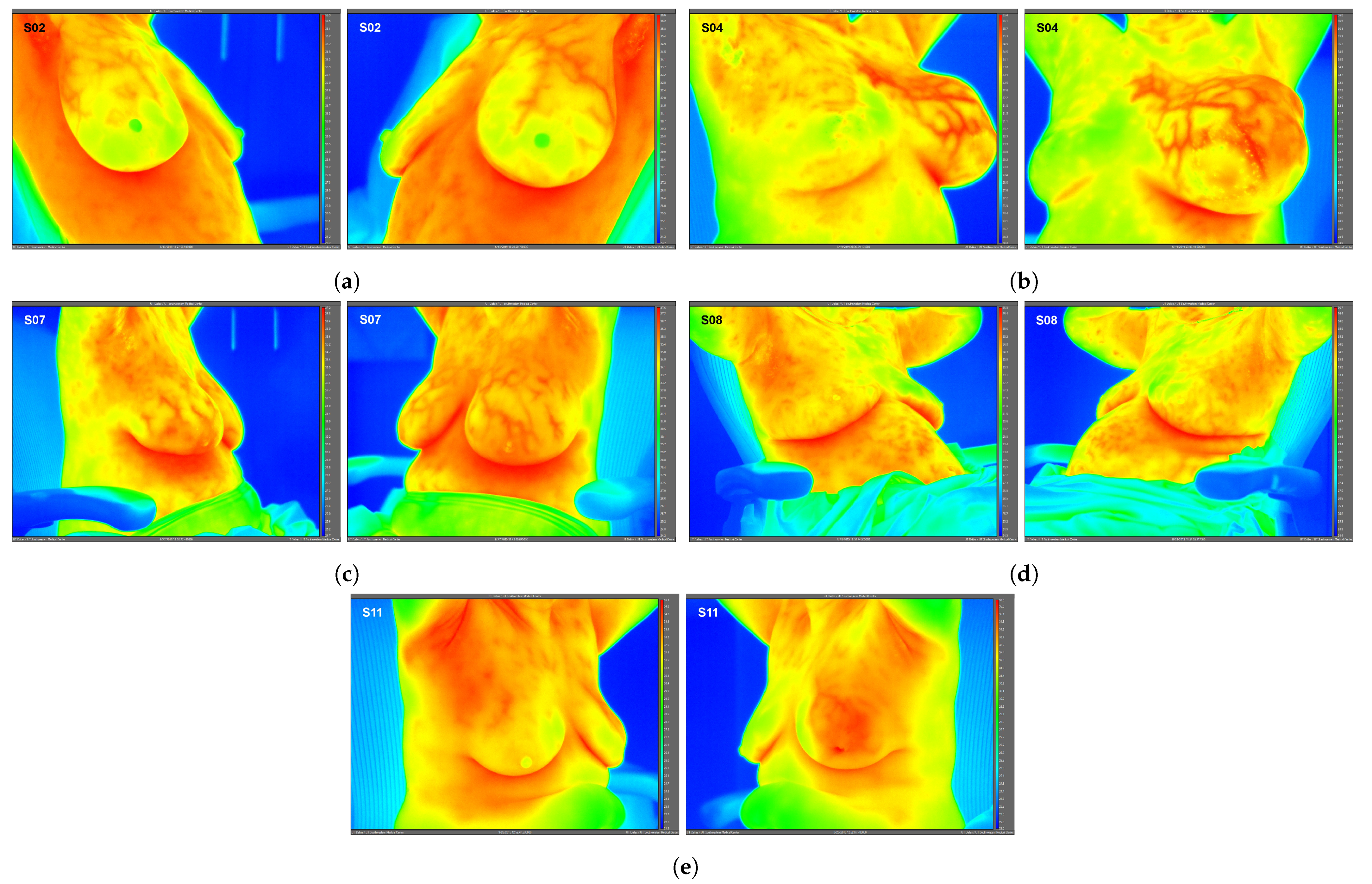 Bioengineering 08 00086 g002