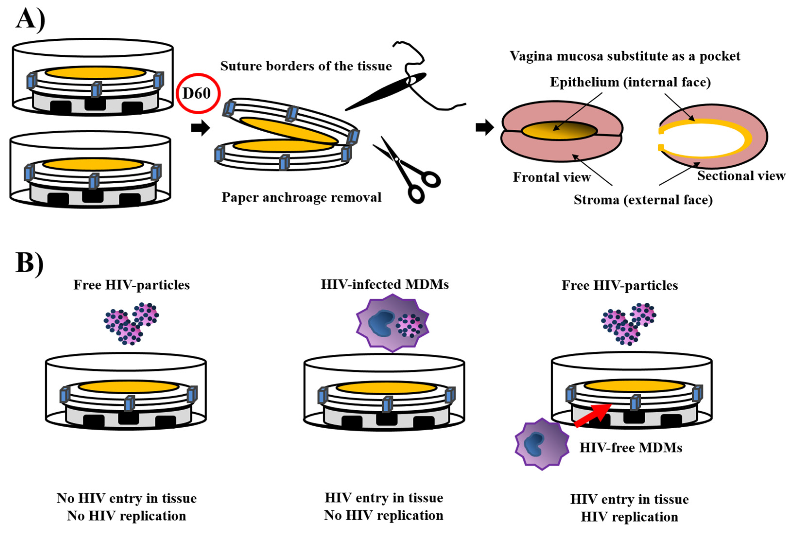 Bioengineering 08 00099 g005 Bioengineering 08 00099 g005