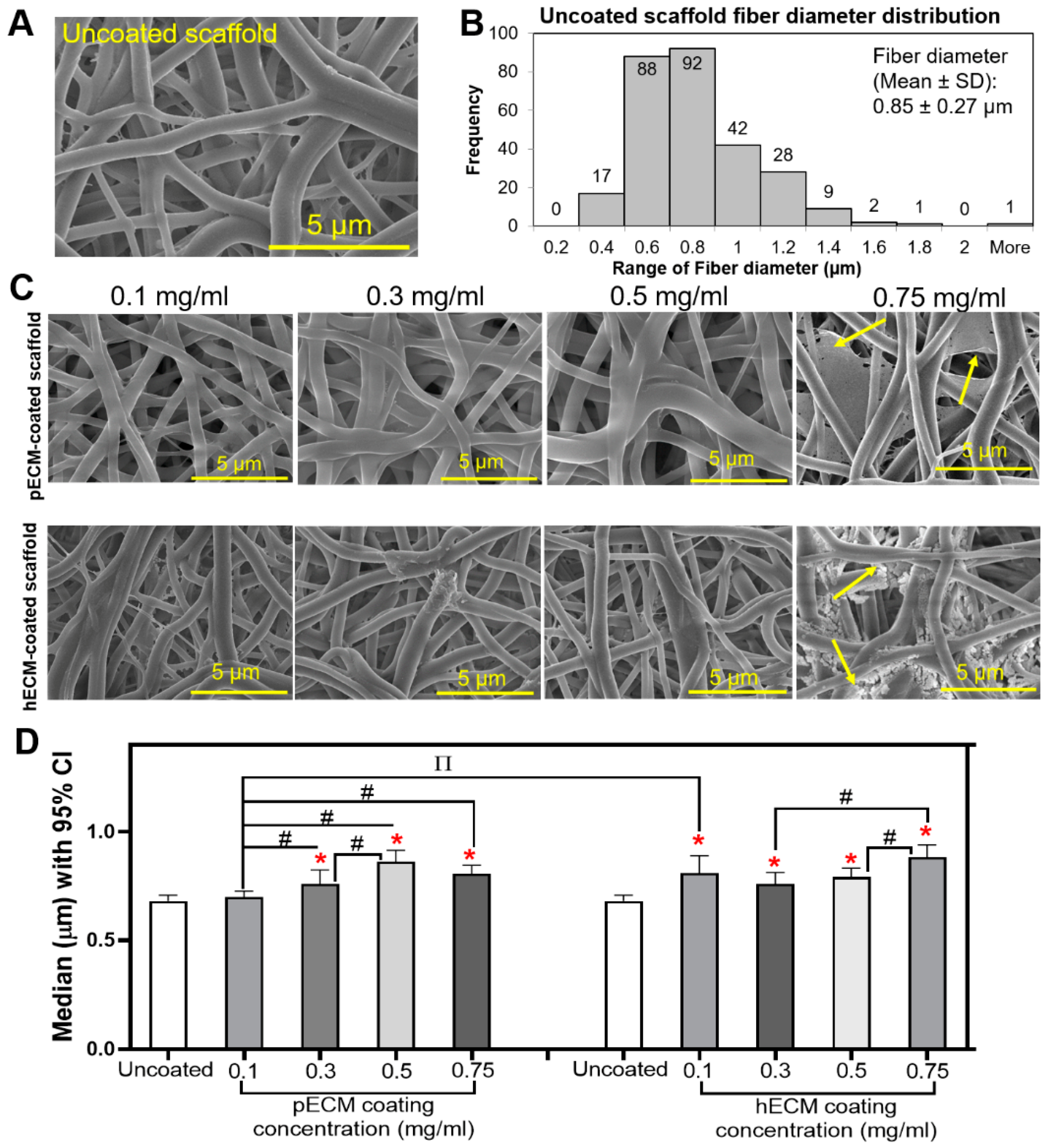 Bioengineering Free Full Text Modulation Of Synthetic Tracheal Grafts With Extracellular Matrix Coatings Html