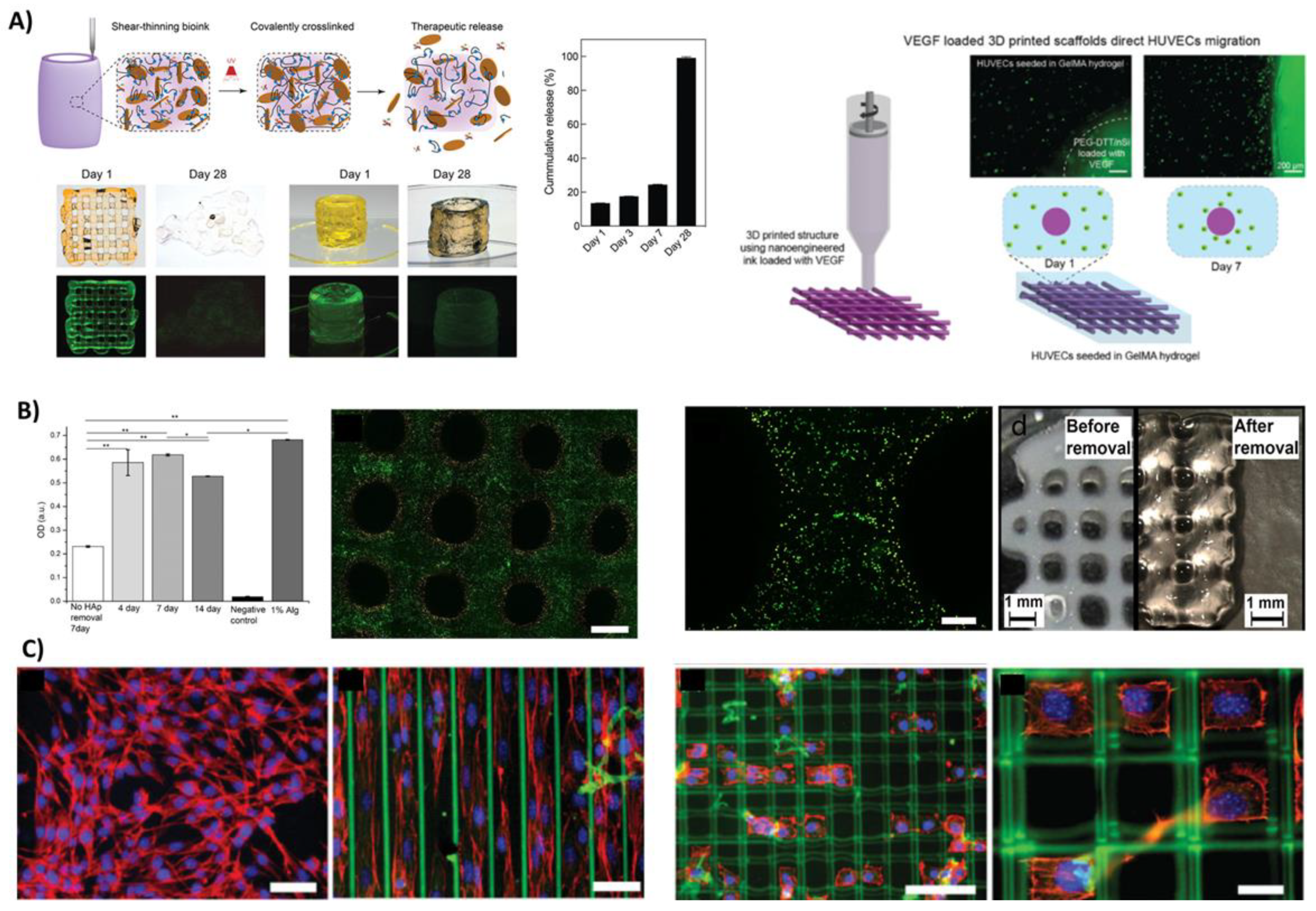 Bioengineering 08 00123 g003