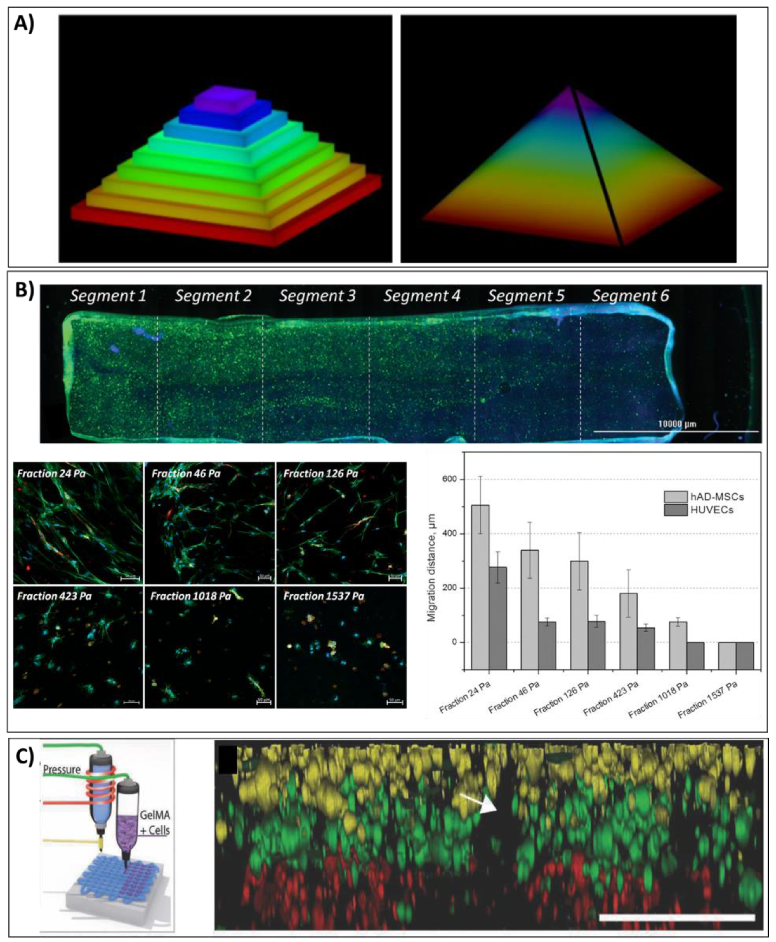 Bioengineering 08 00123 g006