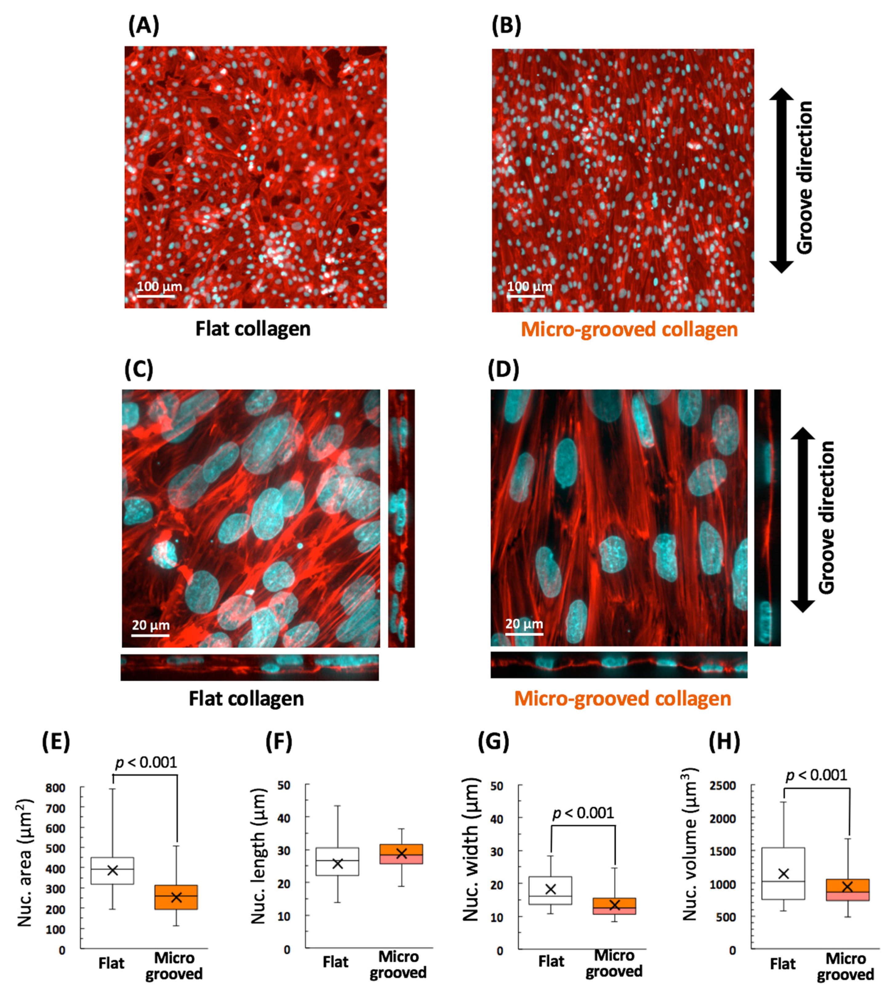 Bioengineering 08 00124 g002 Bioengineering 08 00124 g002