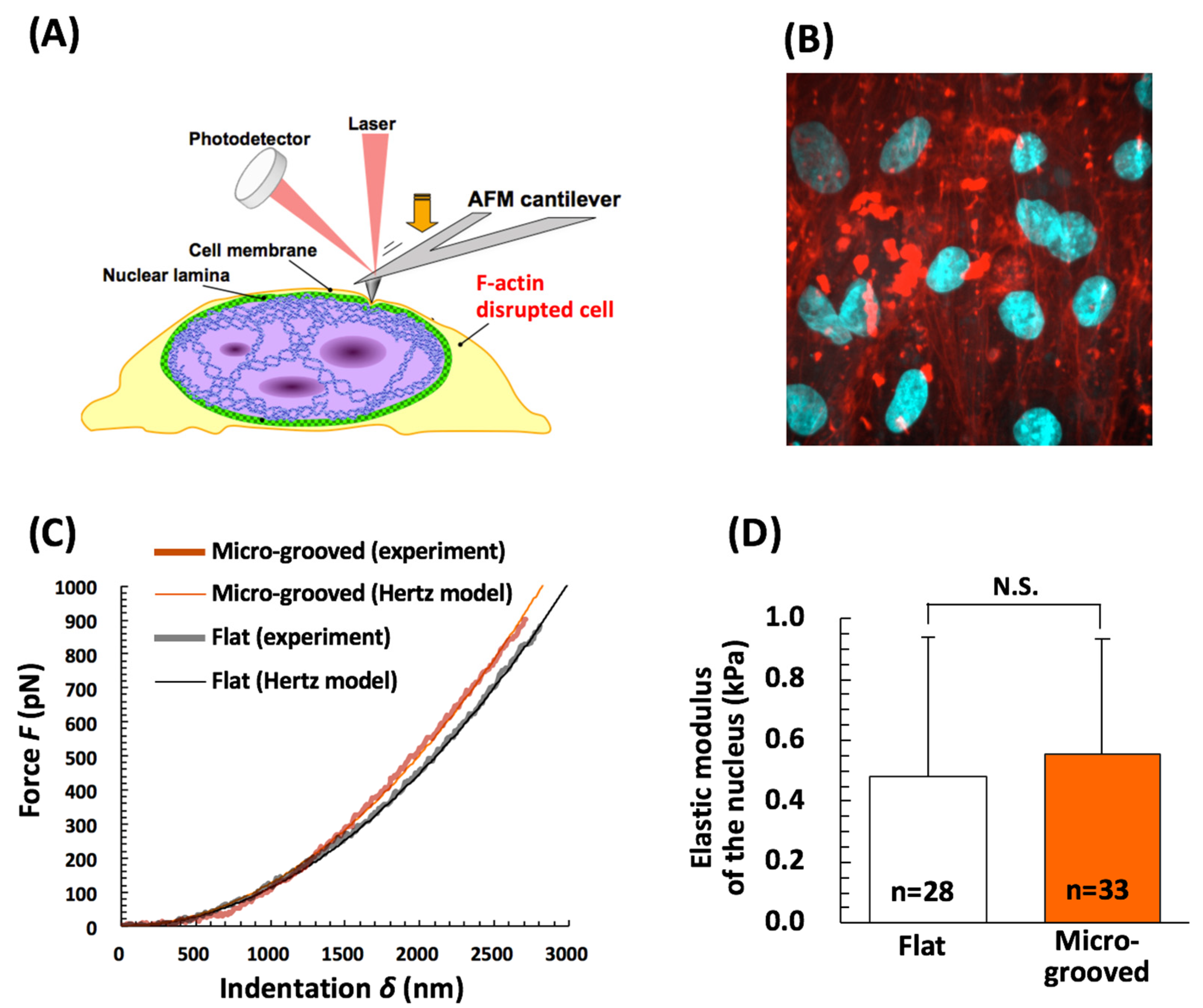 Bioengineering 08 00124 g006 Bioengineering 08 00124 g006