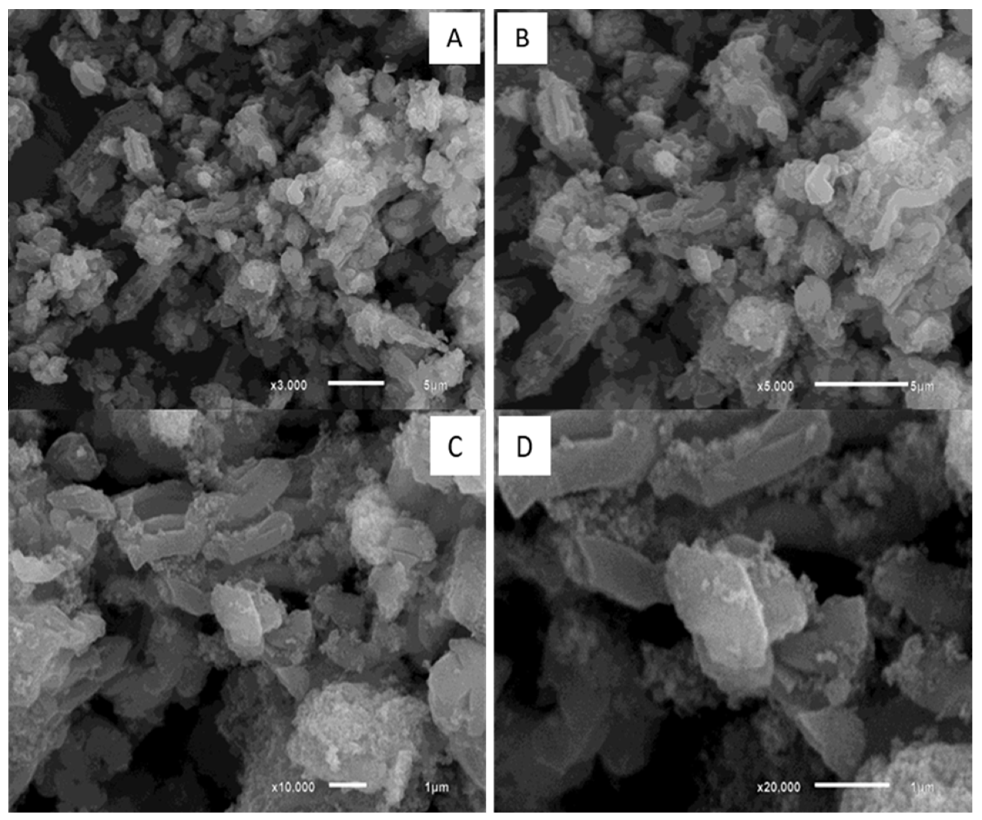 Bioengineering 08 00125 g003