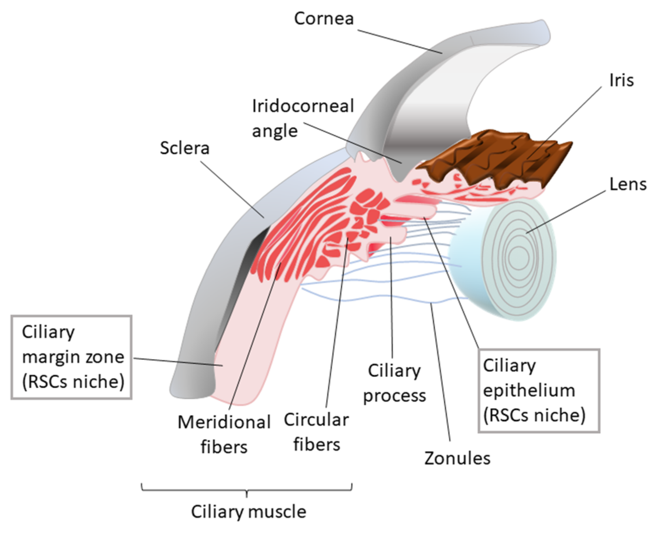 Bioengineering 08 00135 g009 Bioengineering 08 00135 g009