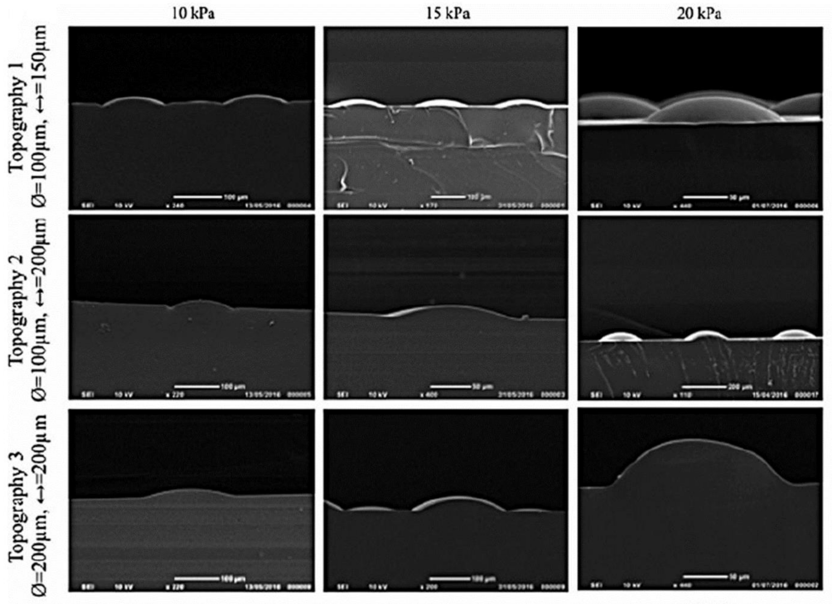 Bioengineering 08 00148 g004 Bioengineering 08 00148 g004