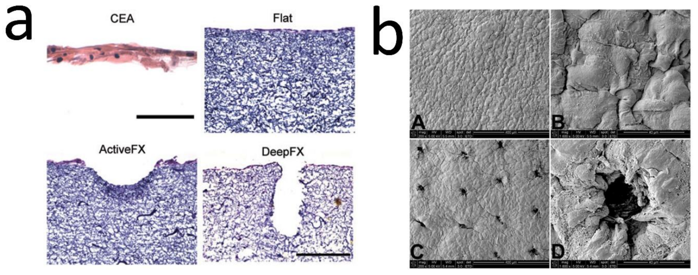Bioengineering 08 00148 g006 Bioengineering 08 00148 g006