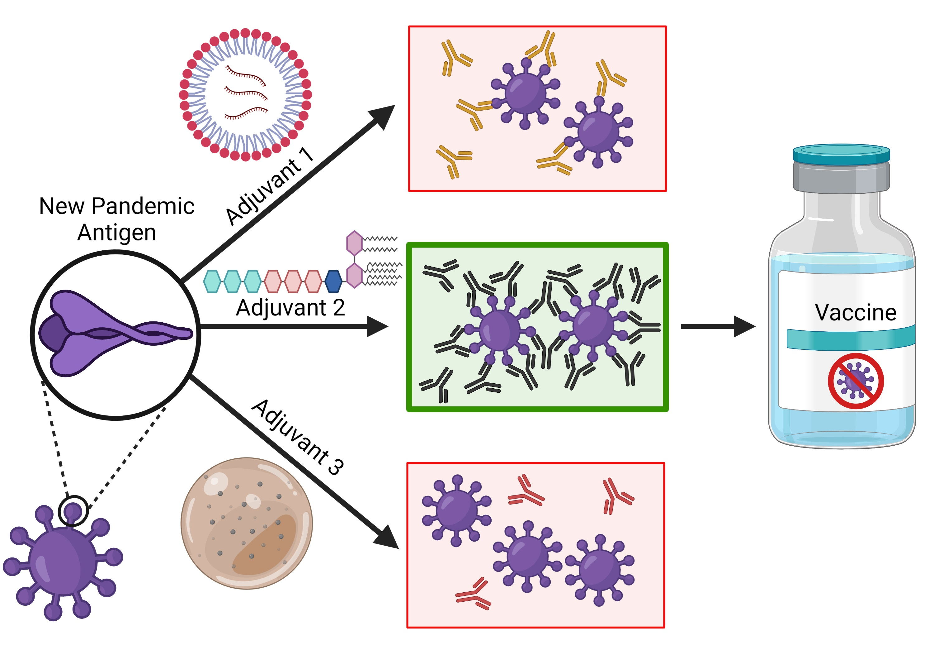 Bioengineering | Free Full-Text | Novel Vaccine Adjuvants as Key Tools ...