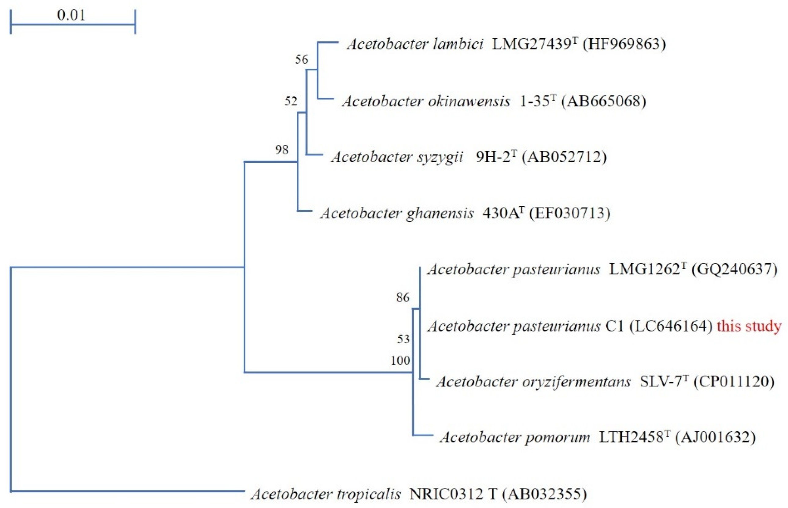 Bioengineering 08 00157 g001