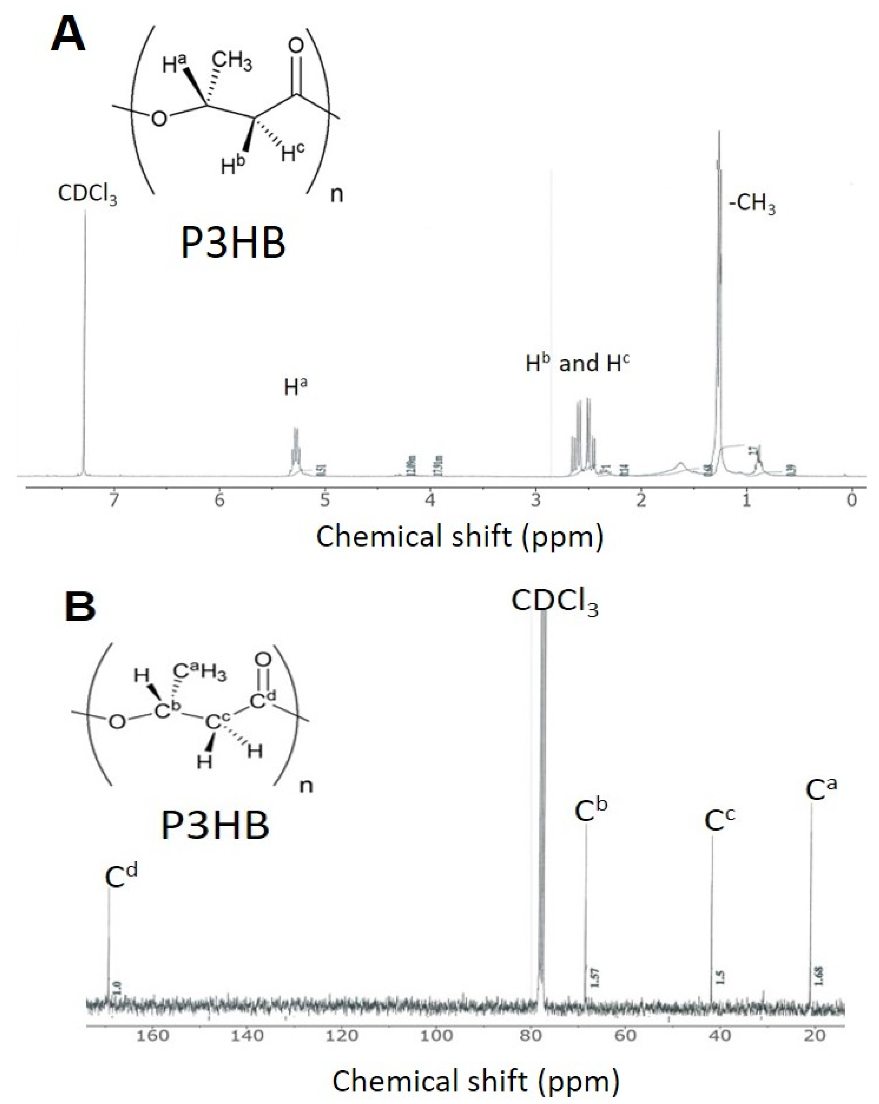 Bioengineering 08 00157 g013
